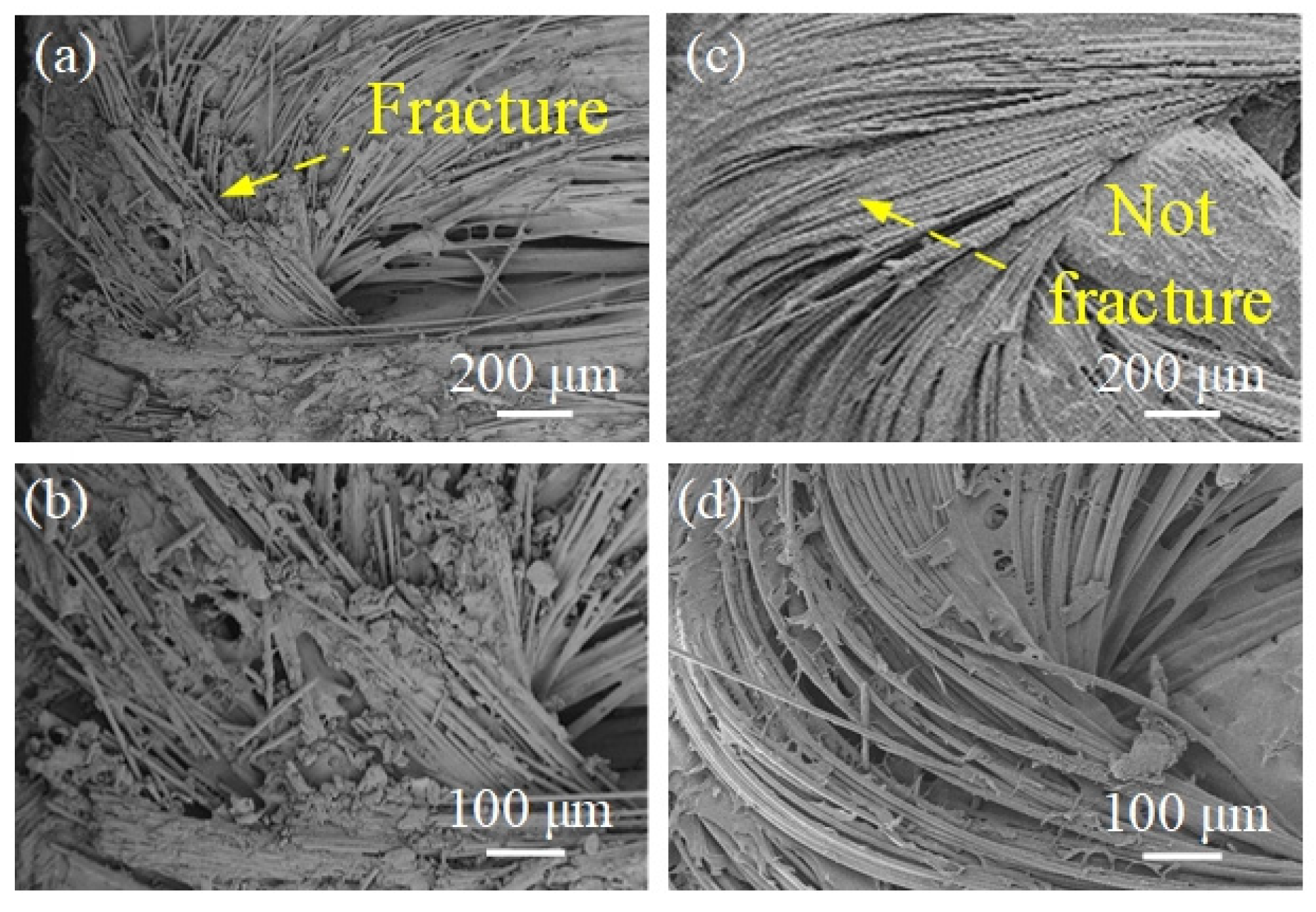 Coatings 12 01000 g006