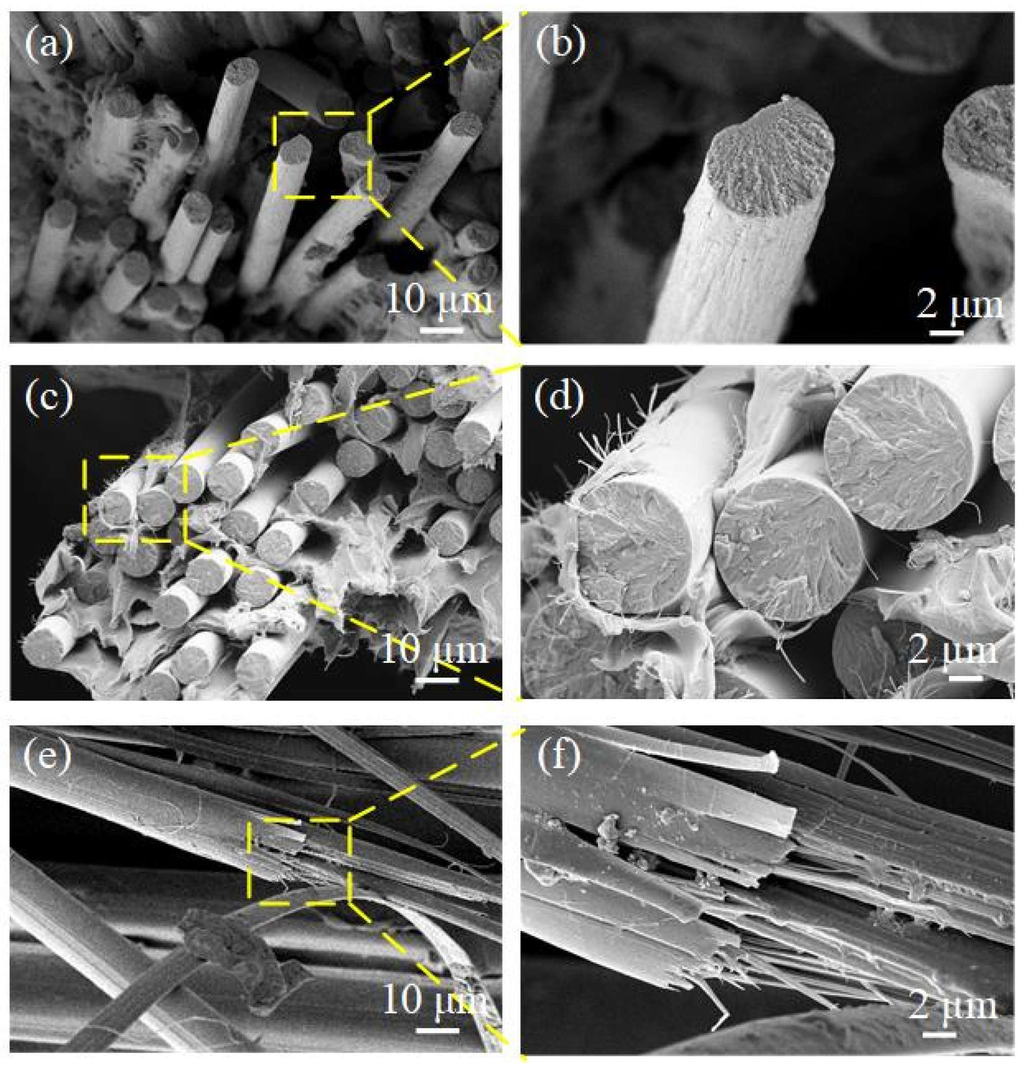 Coatings 12 01000 g007