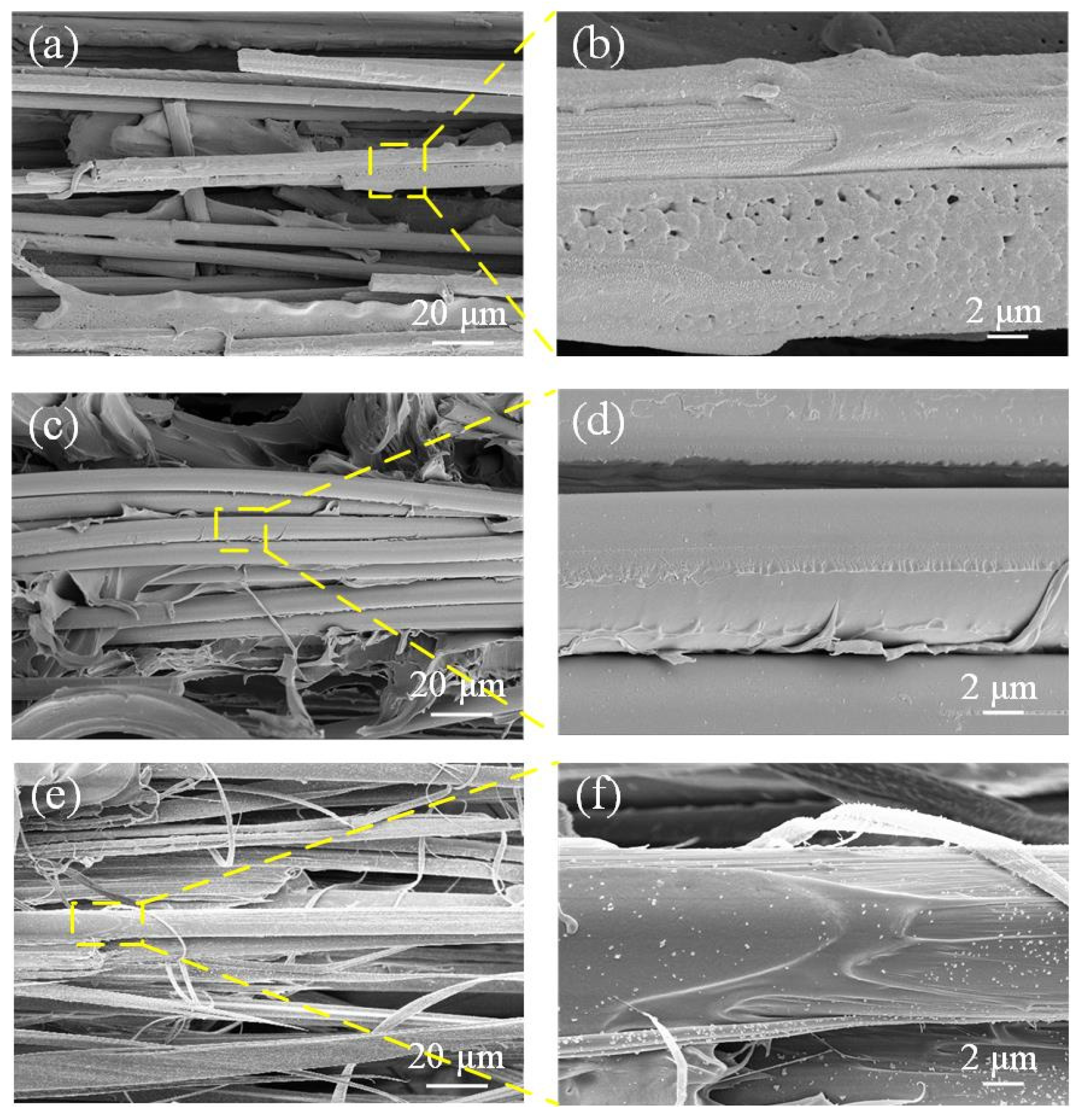 Coatings 12 01000 g009