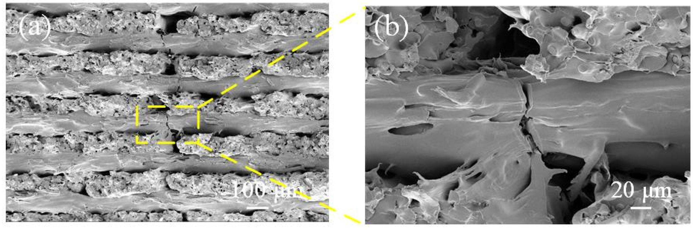 Coatings 12 01000 g011