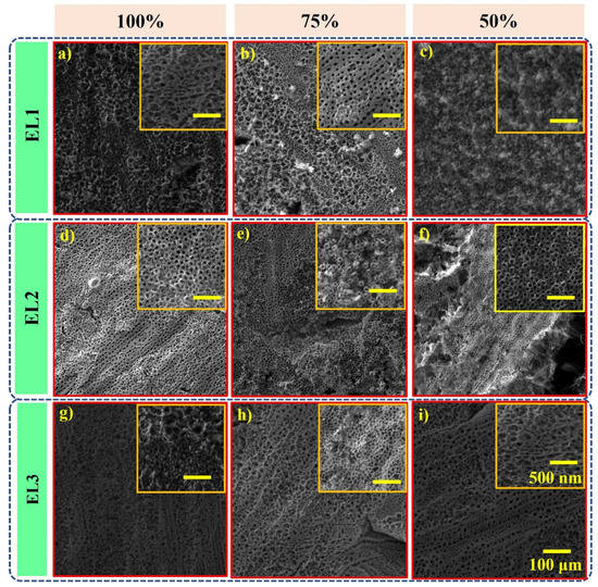 Porous vs. Nanotubular Anodic TiO2: Does the Morphology Really Matters ...