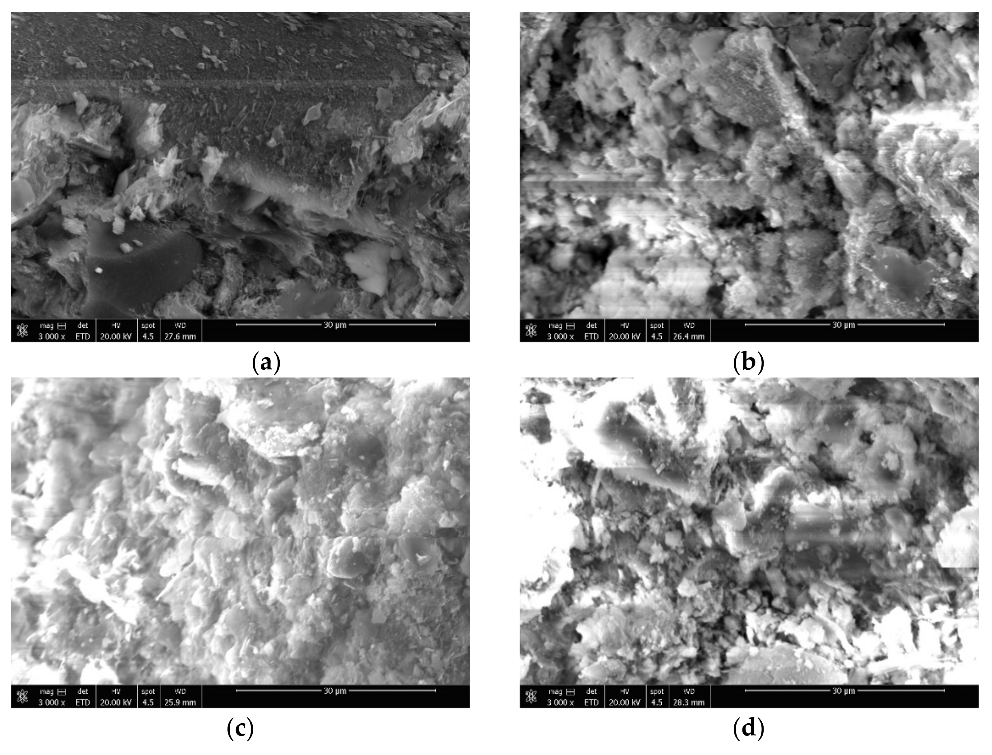 Coatings 12 01003 g006 550