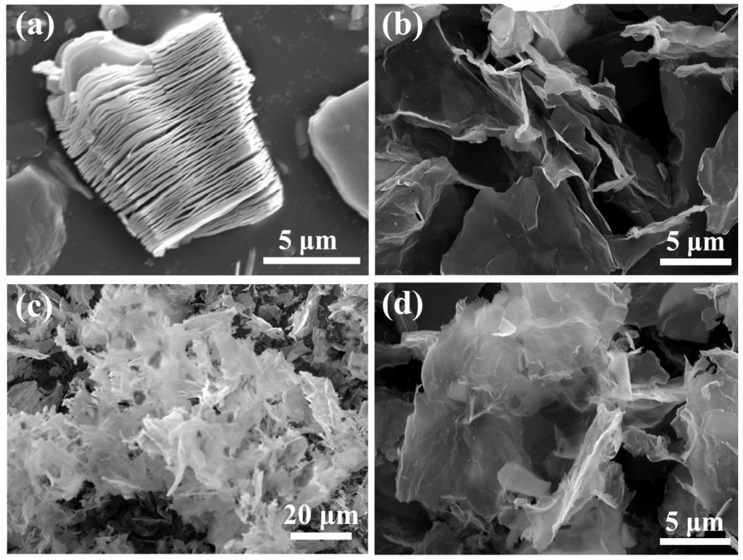 Coatings 12 01005 g001 550