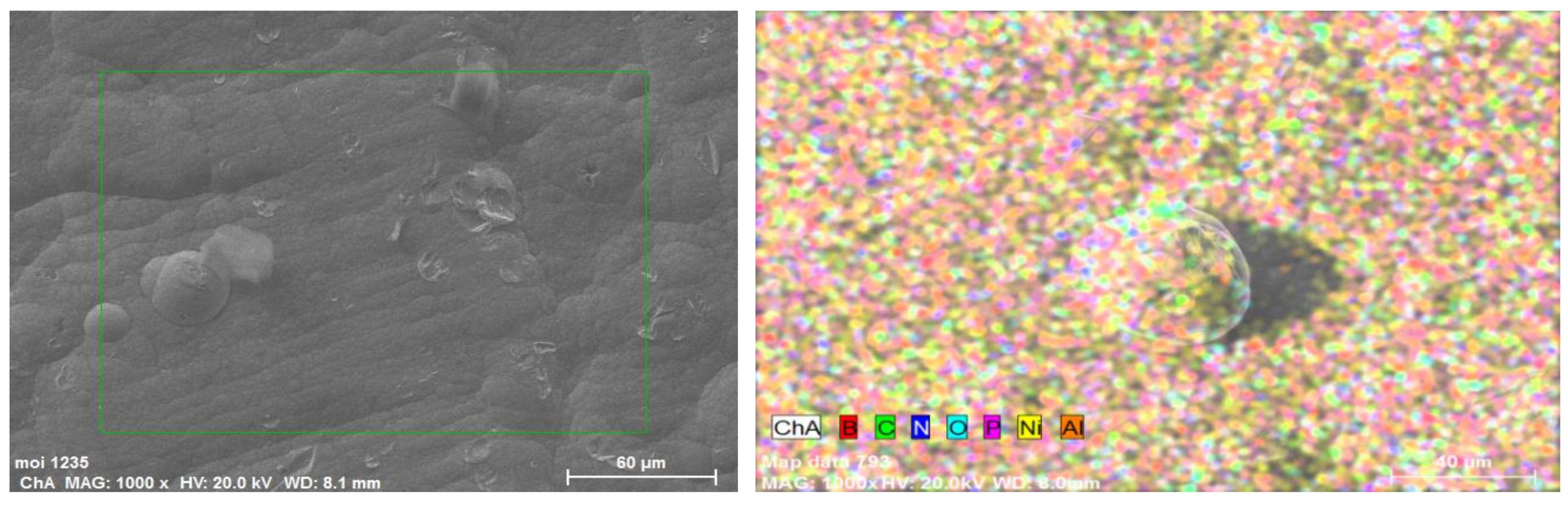Coatings 12 01008 g002