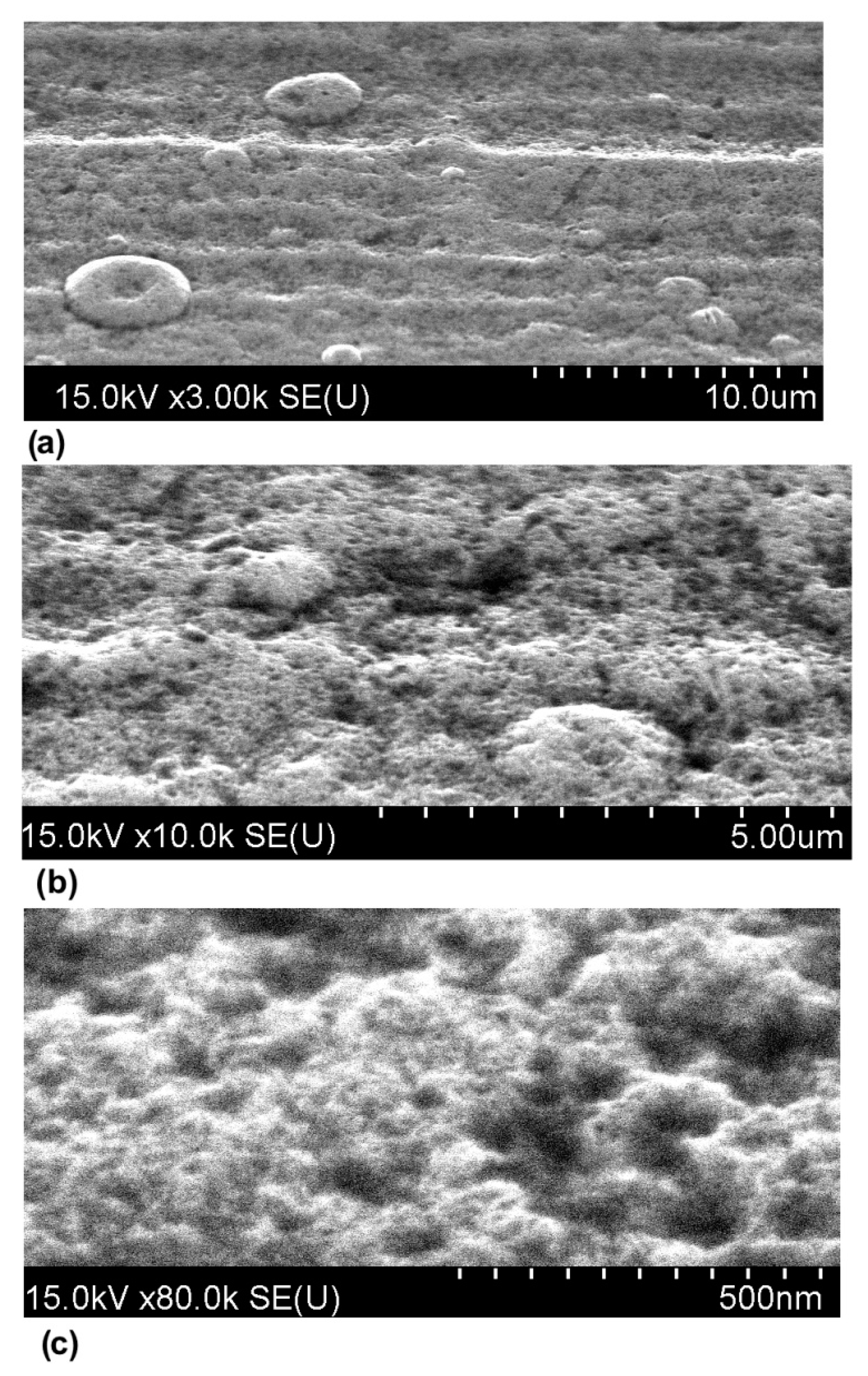 Coatings 12 01012 g004