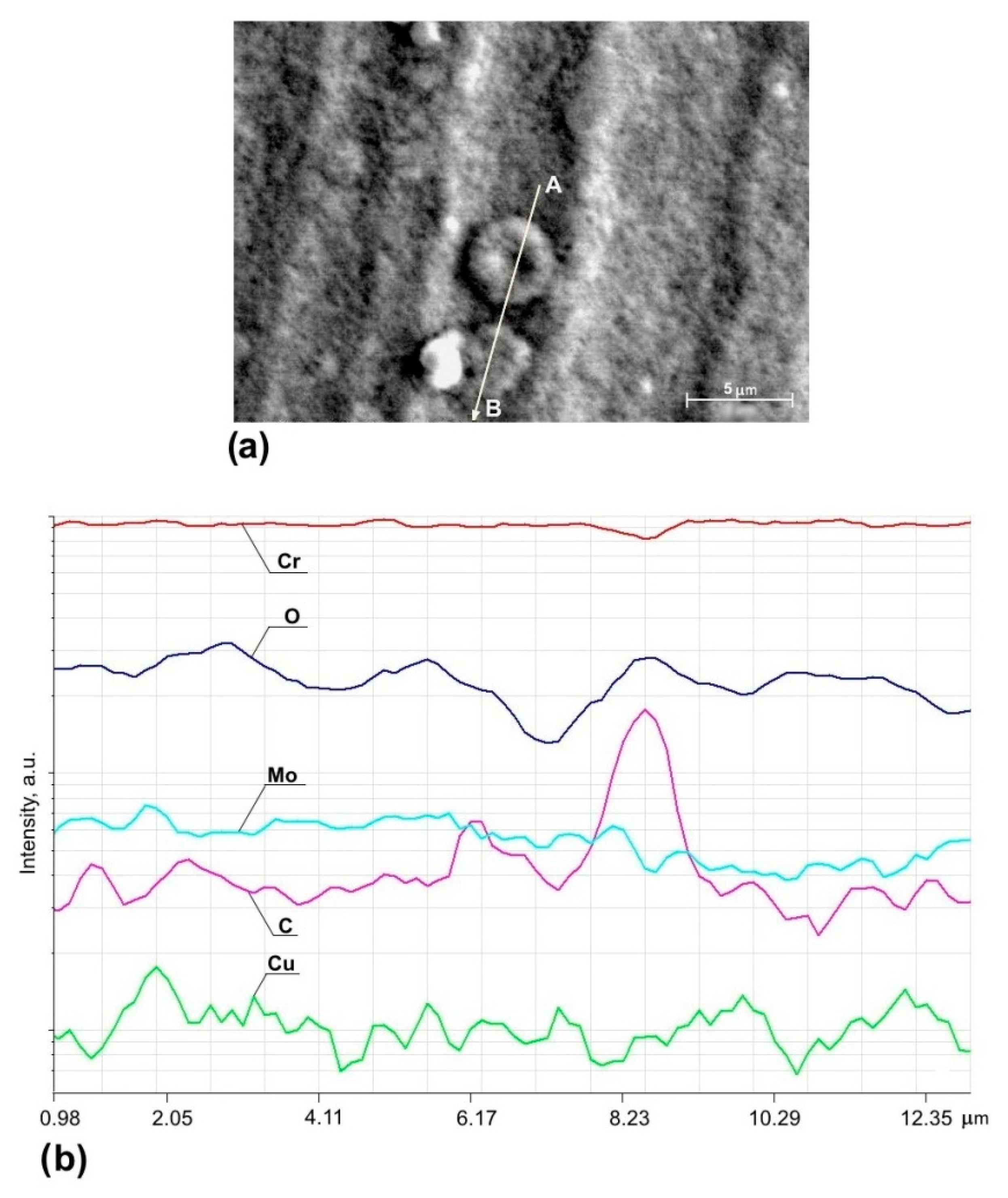 Coatings 12 01012 g005