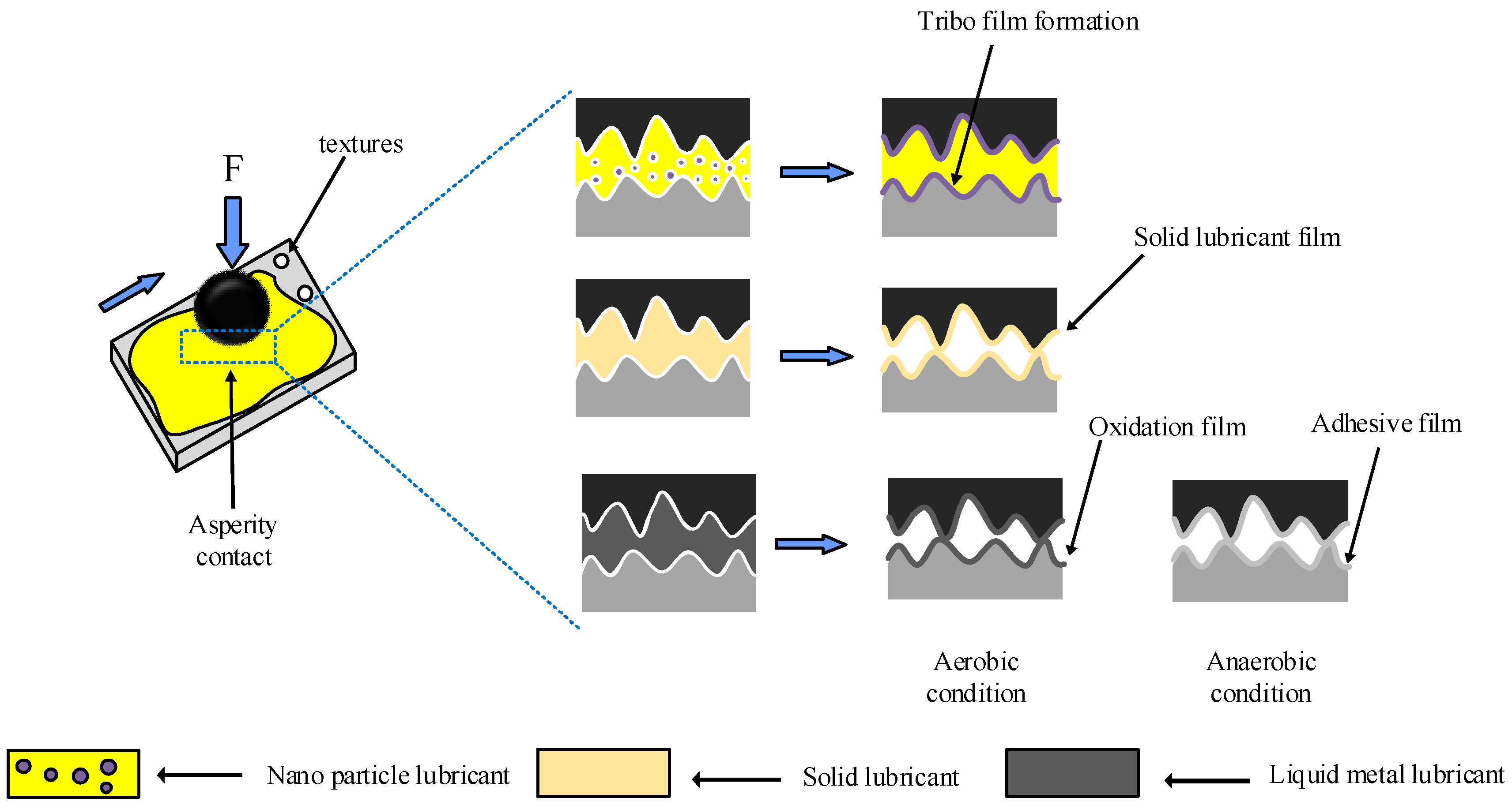 Coatings 12 01015 g010 550