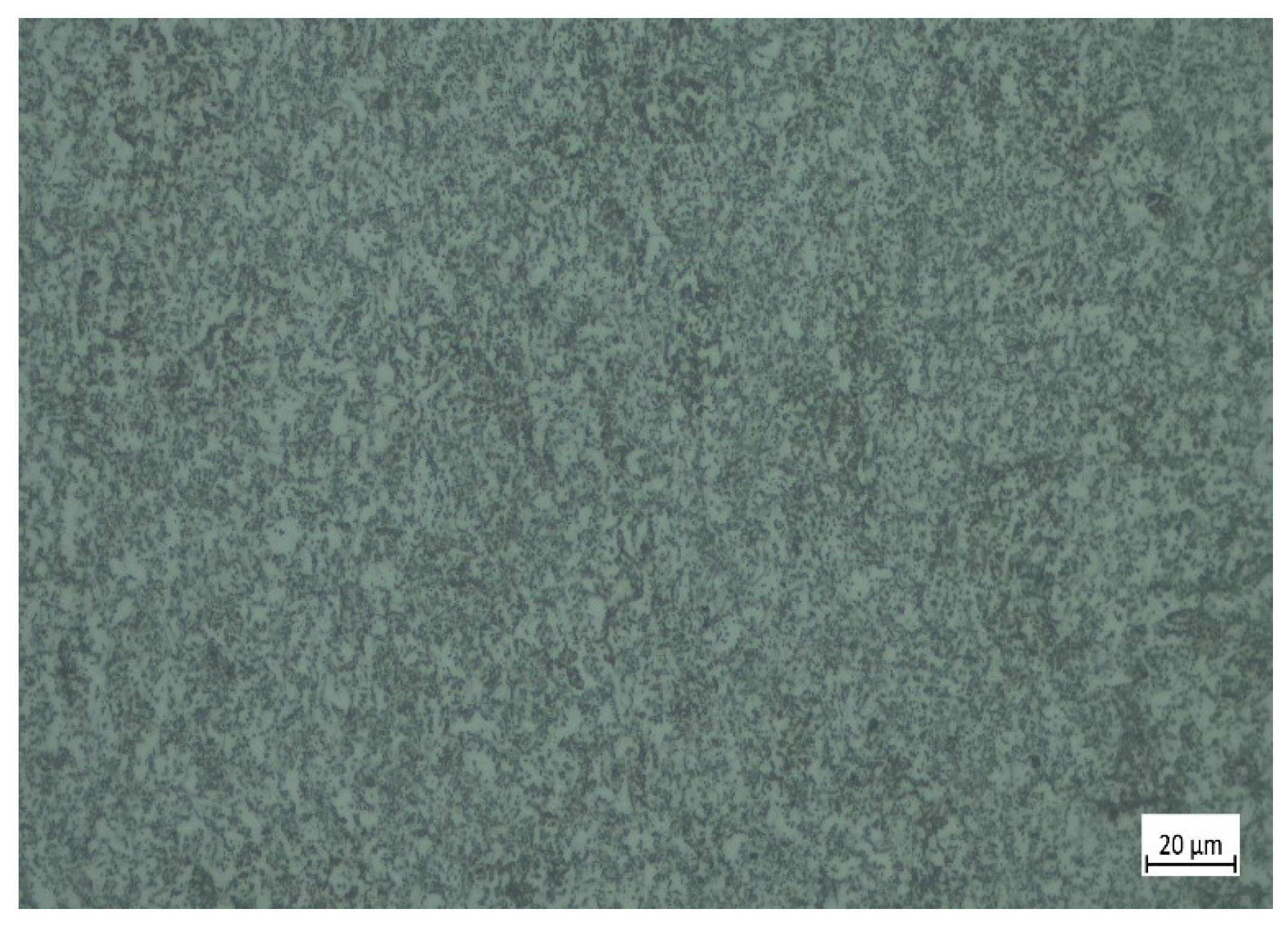 Coatings 12 01018 g001