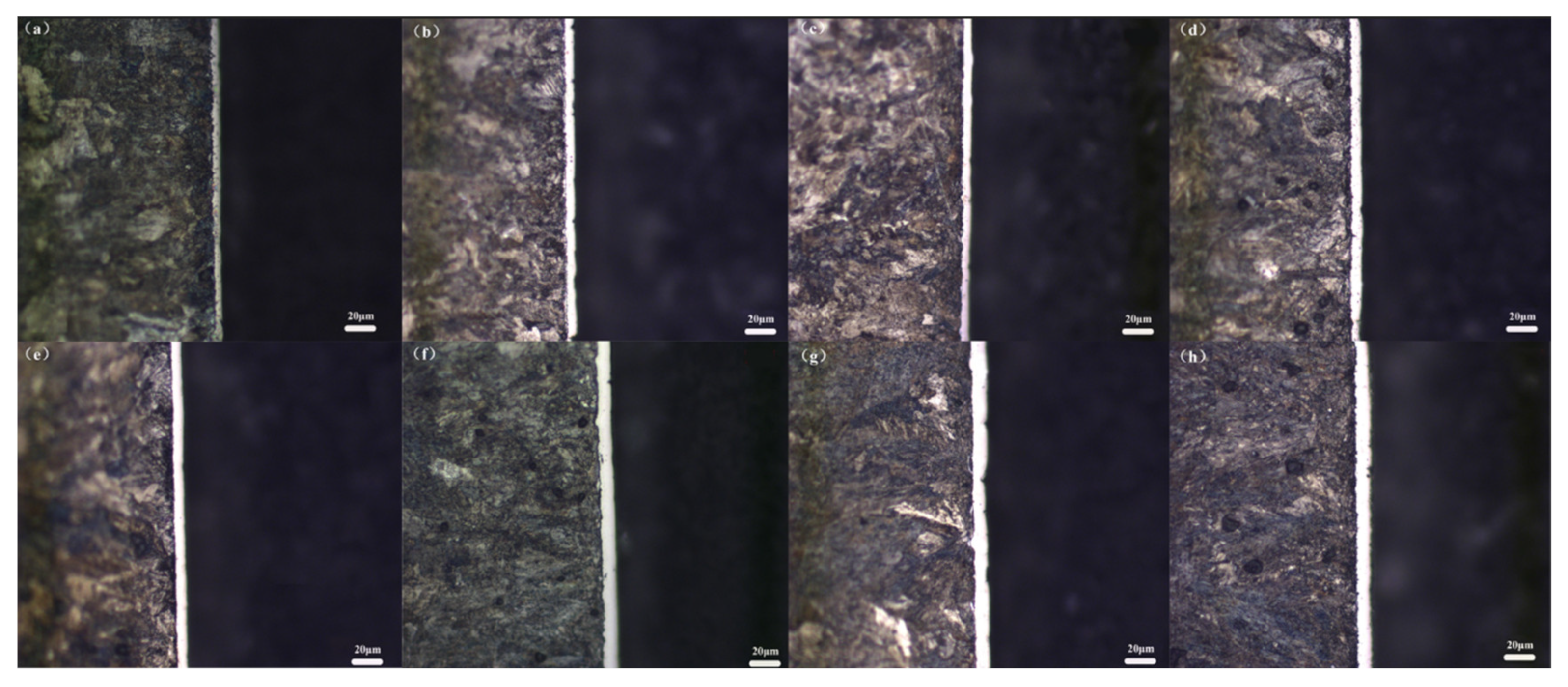 Coatings 12 01018 g003