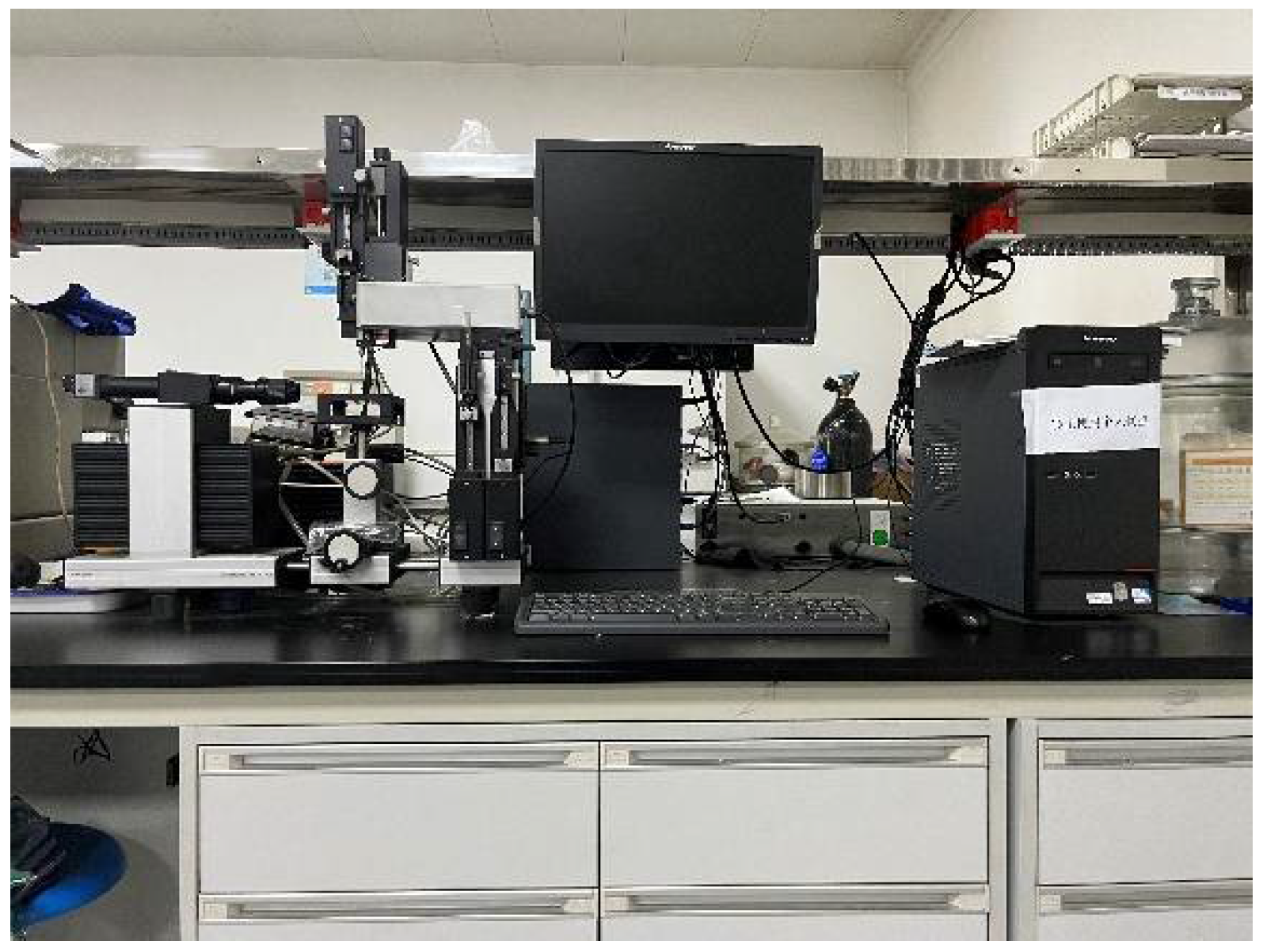 Coatings 12 01027 g003 550