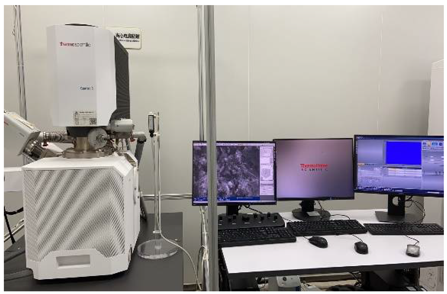 Coatings 12 01027 g007 550