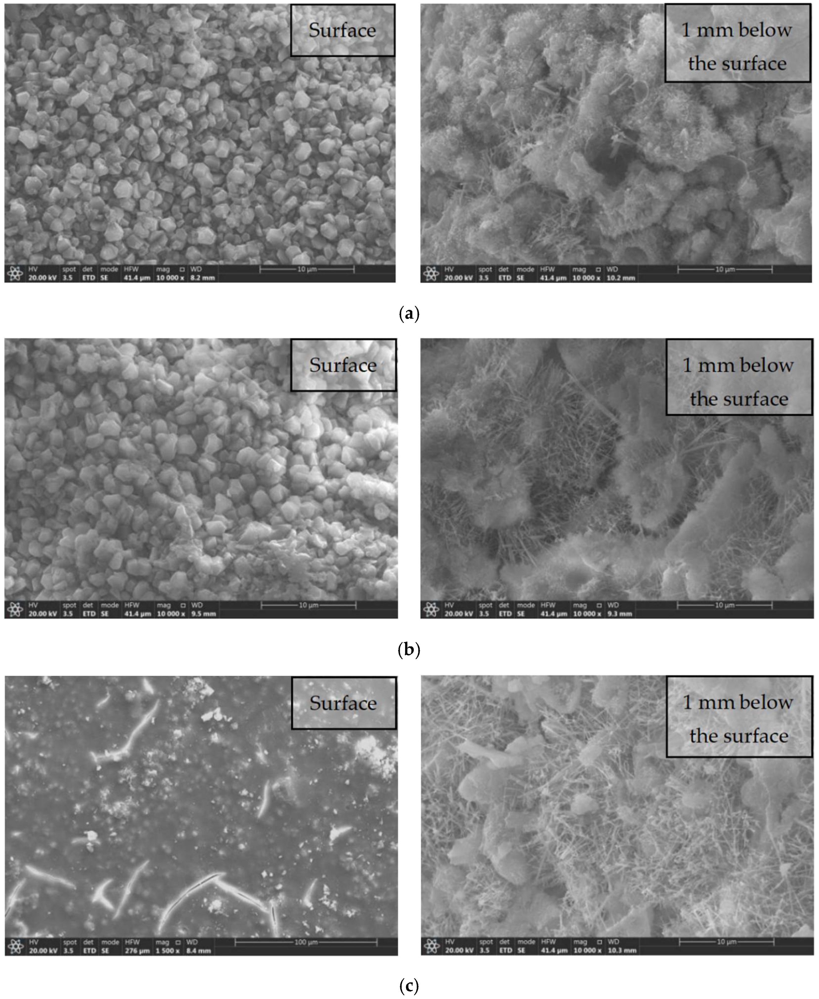 Coatings 12 01027 g017a 550