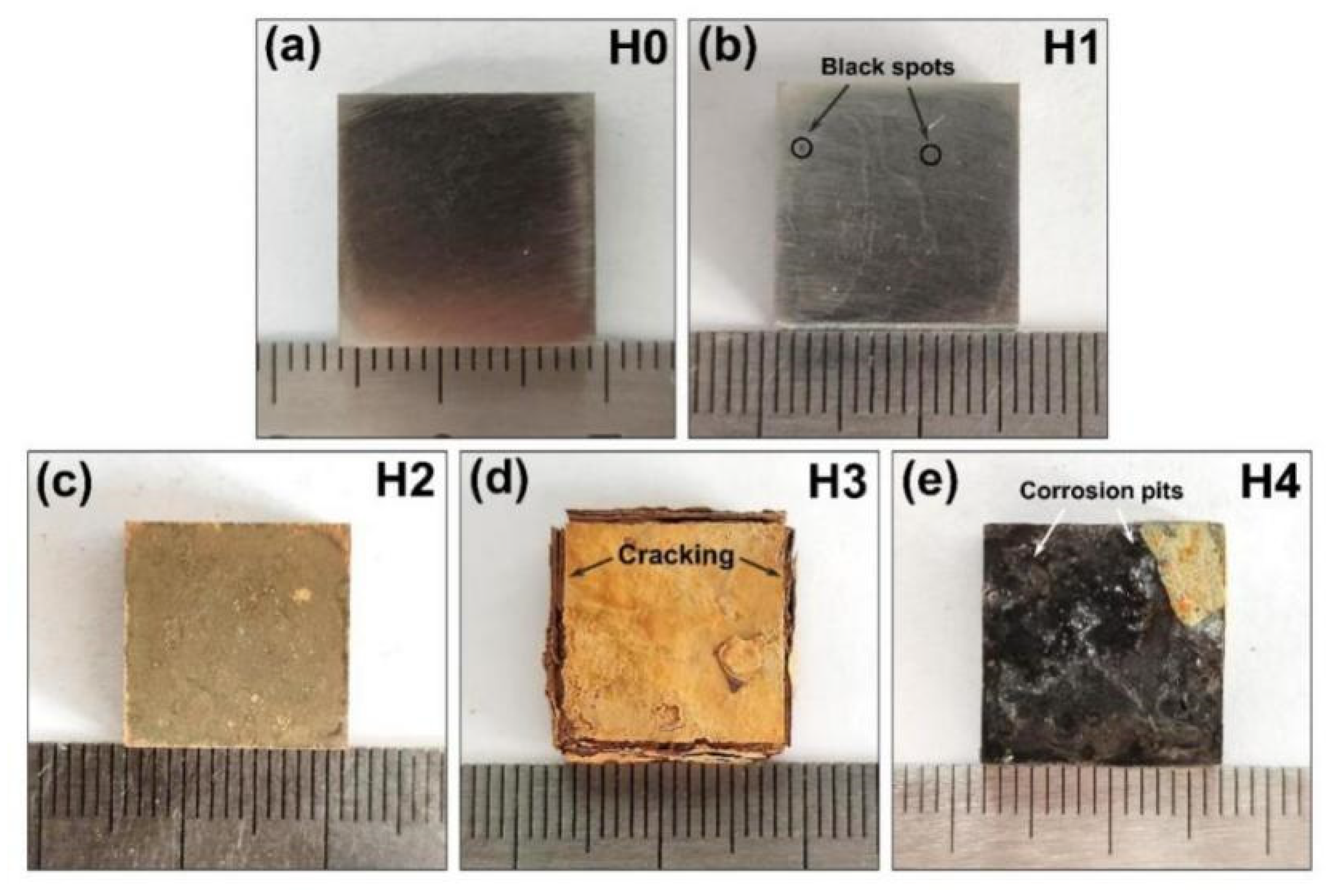 Coatings 12 01028 g004 550