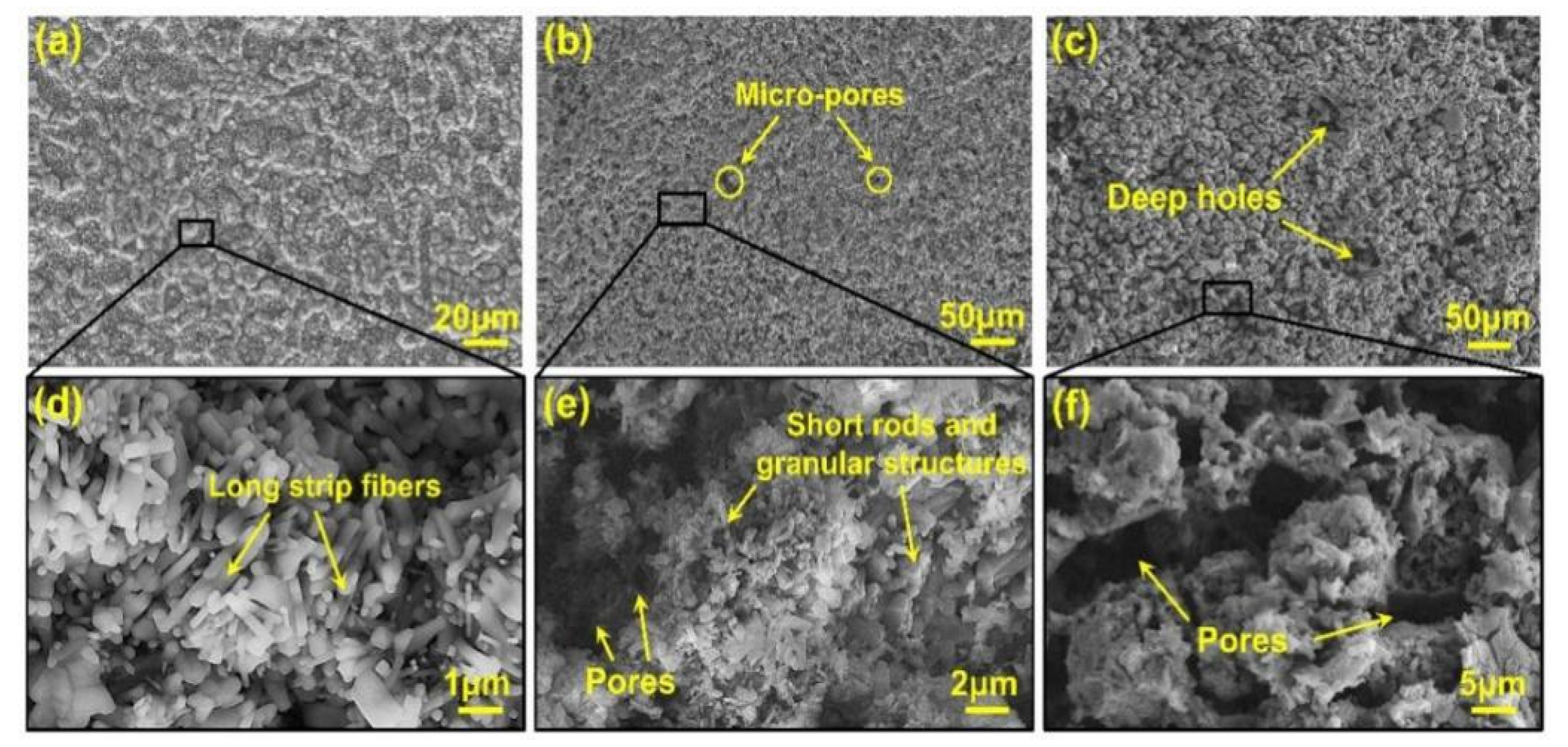 Coatings 12 01028 g007 550