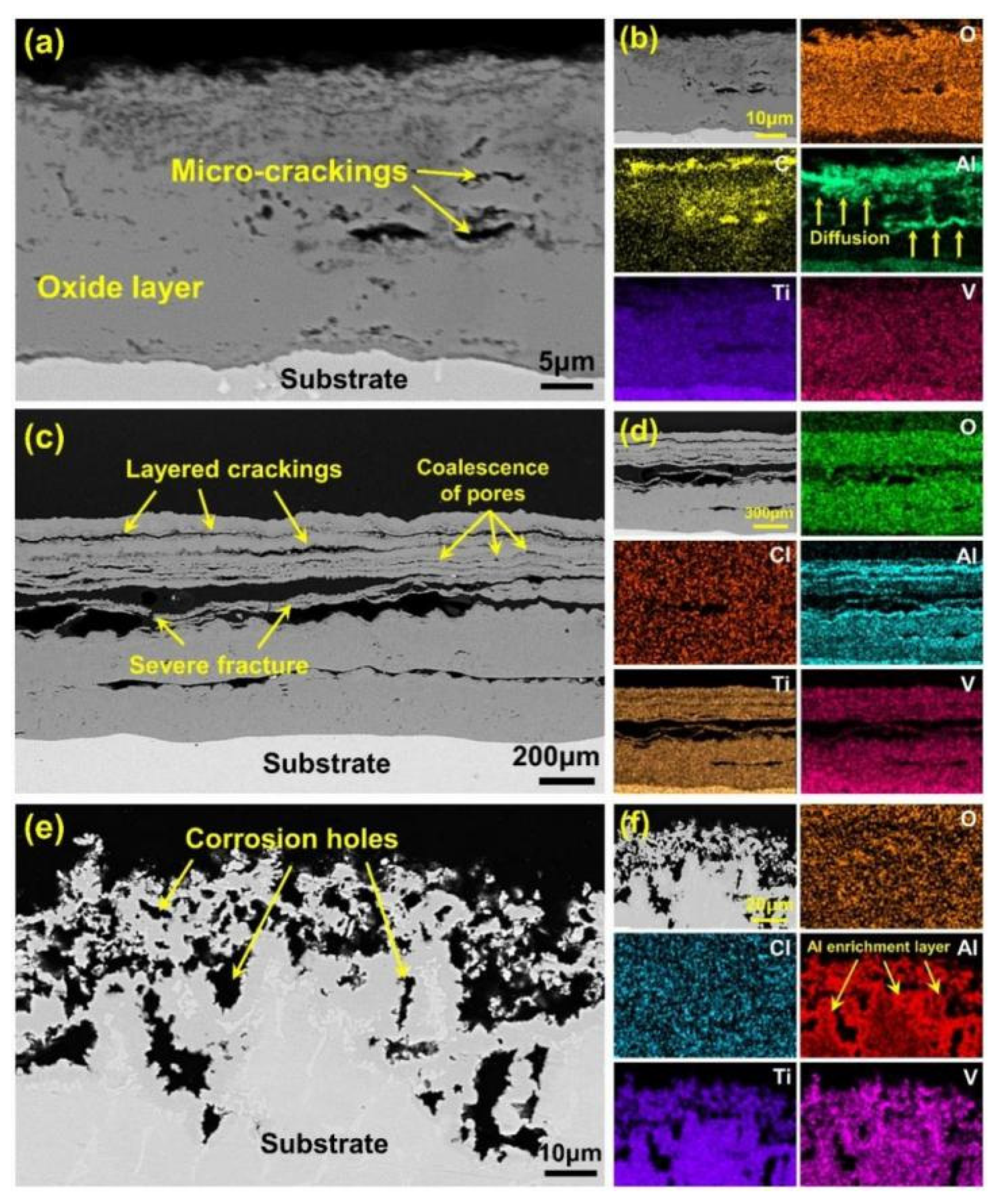 Coatings 12 01028 g008 550