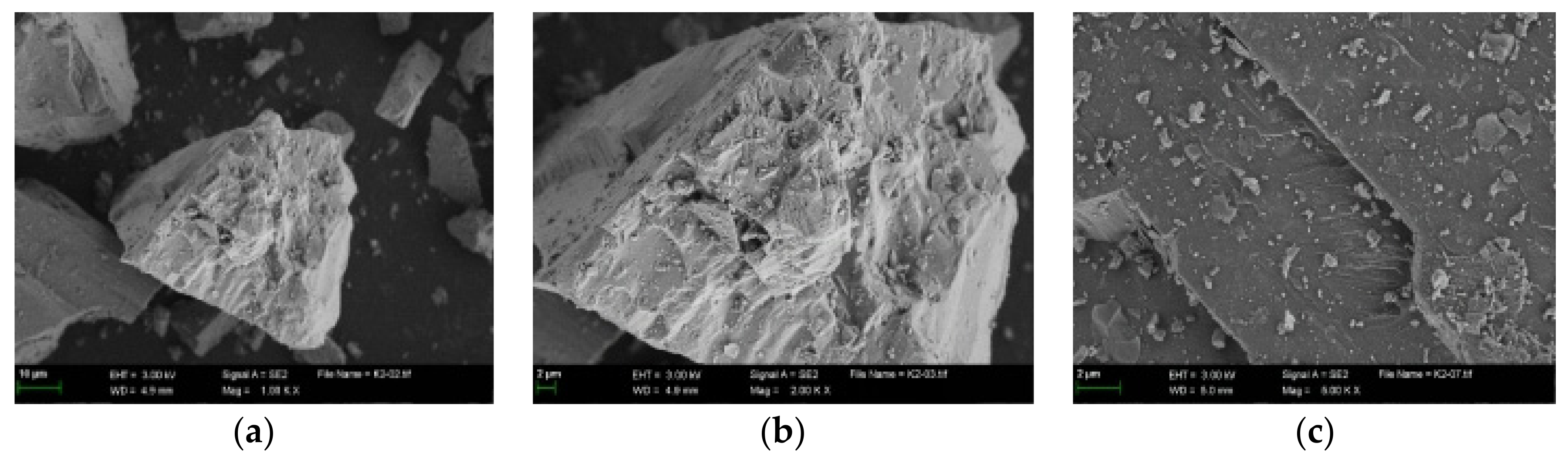 Coatings 12 01029 g005 550