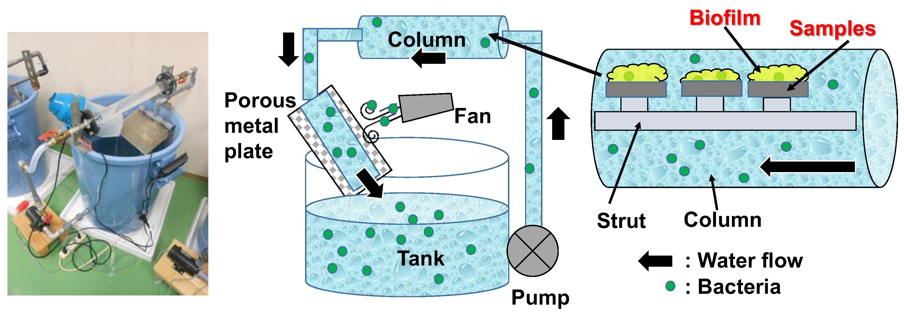 Coatings 12 01031 g002 550