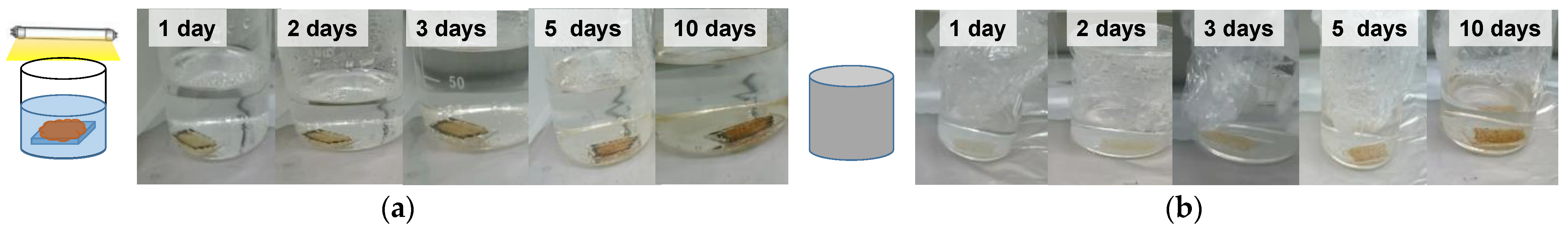 Coatings 12 01031 g004 550