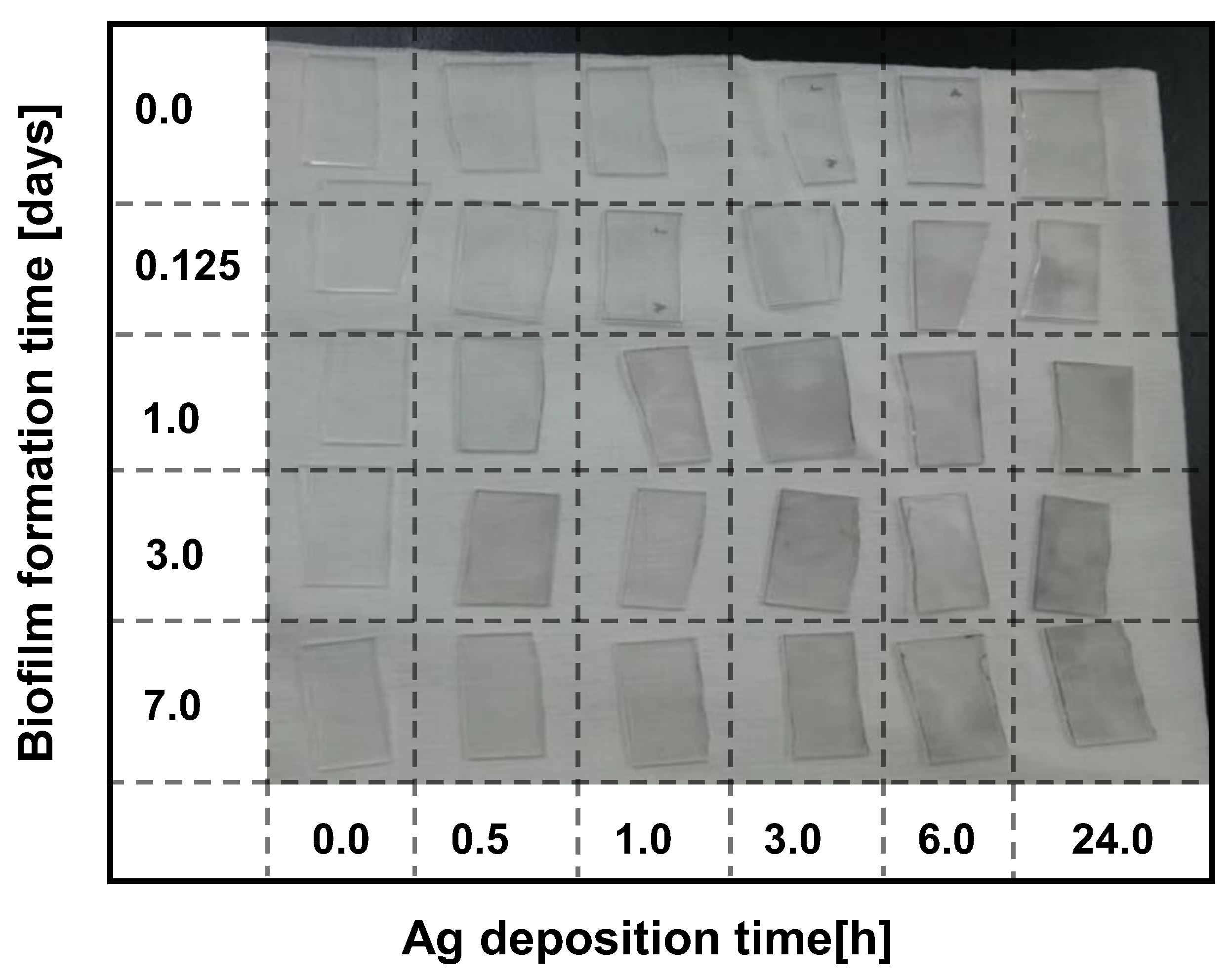 Coatings 12 01031 g005 550