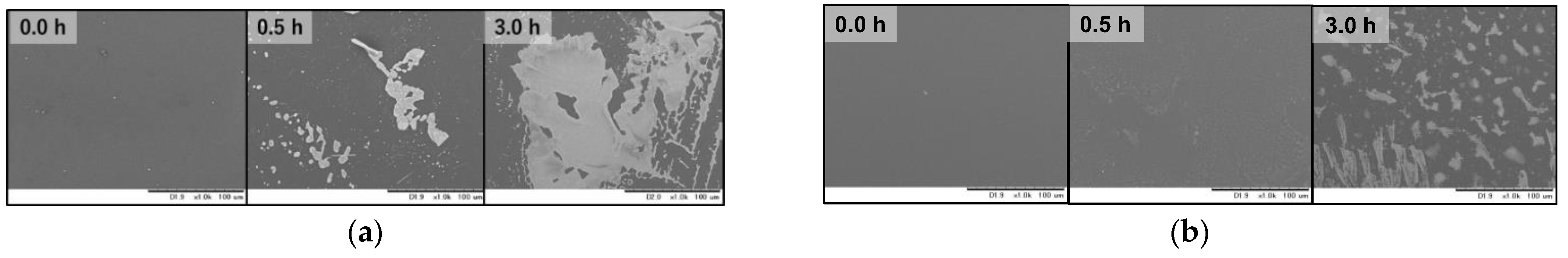 Coatings 12 01031 g008 550