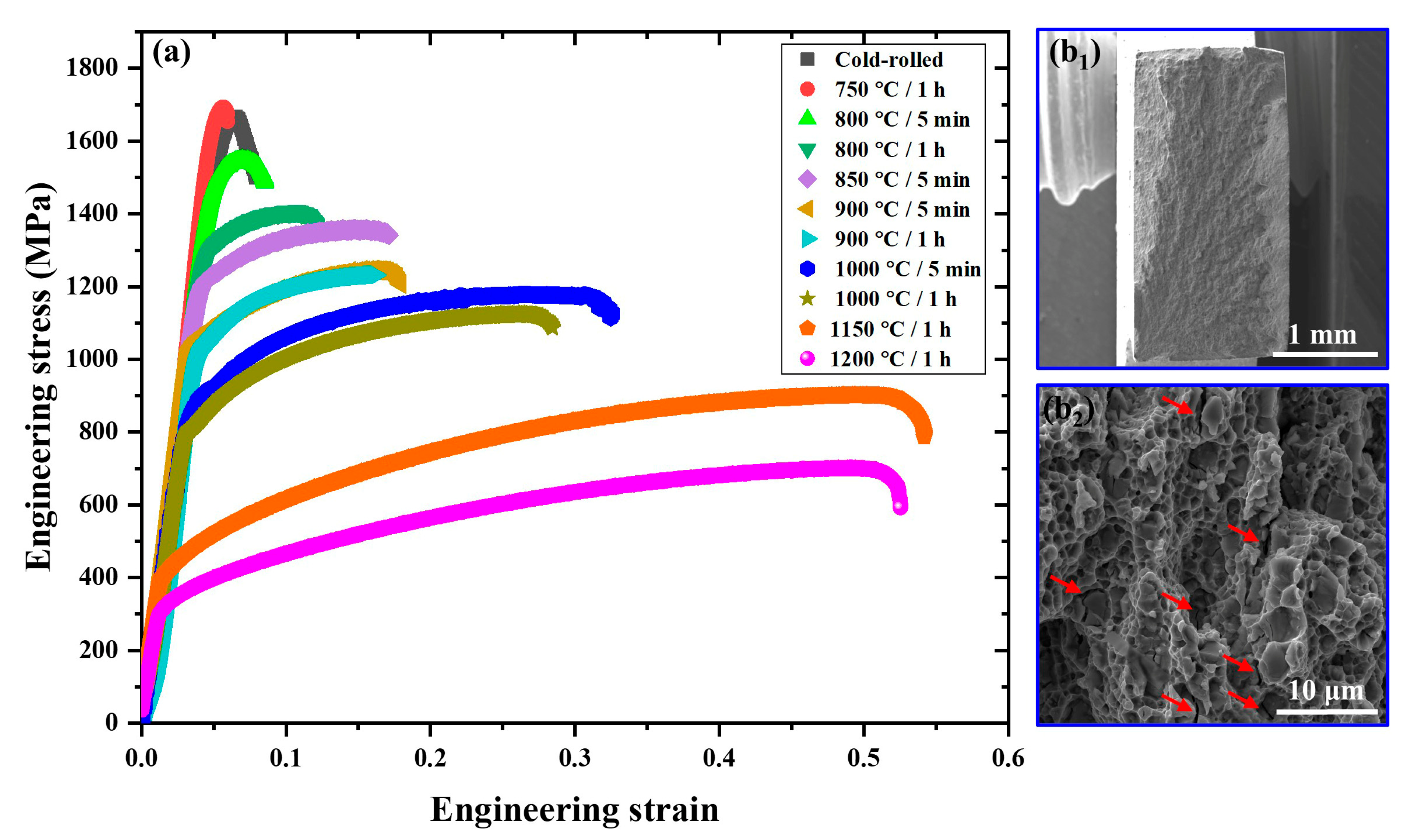 Coatings 12 01032 g005