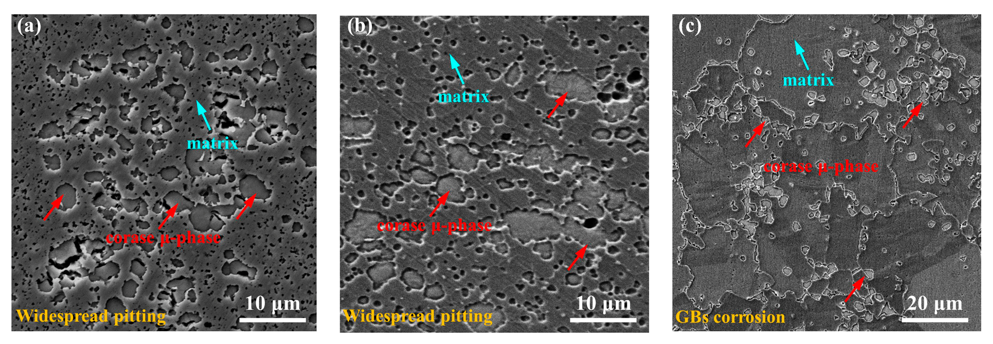 Coatings 12 01032 g008