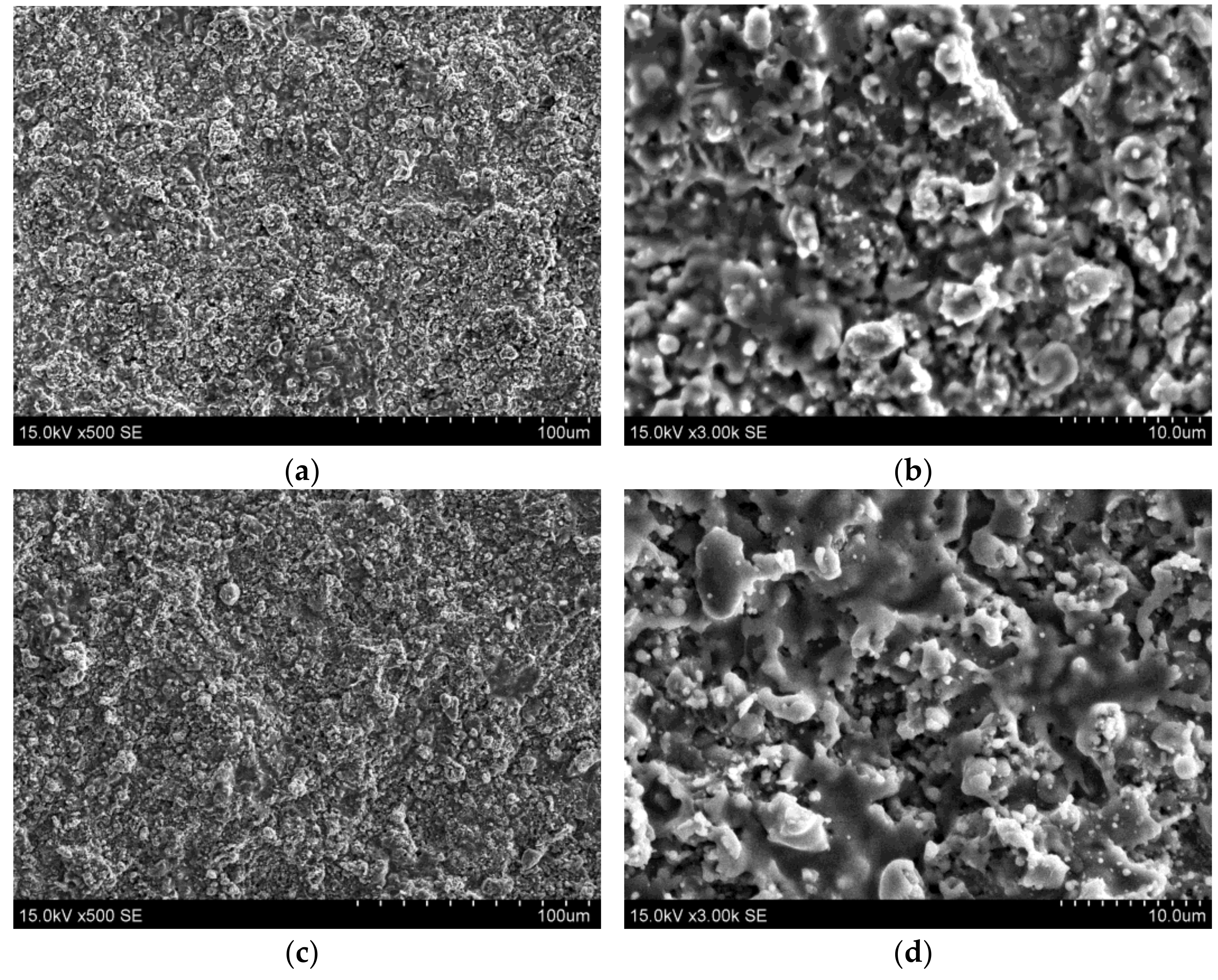 Coatings 12 01035 g001 550