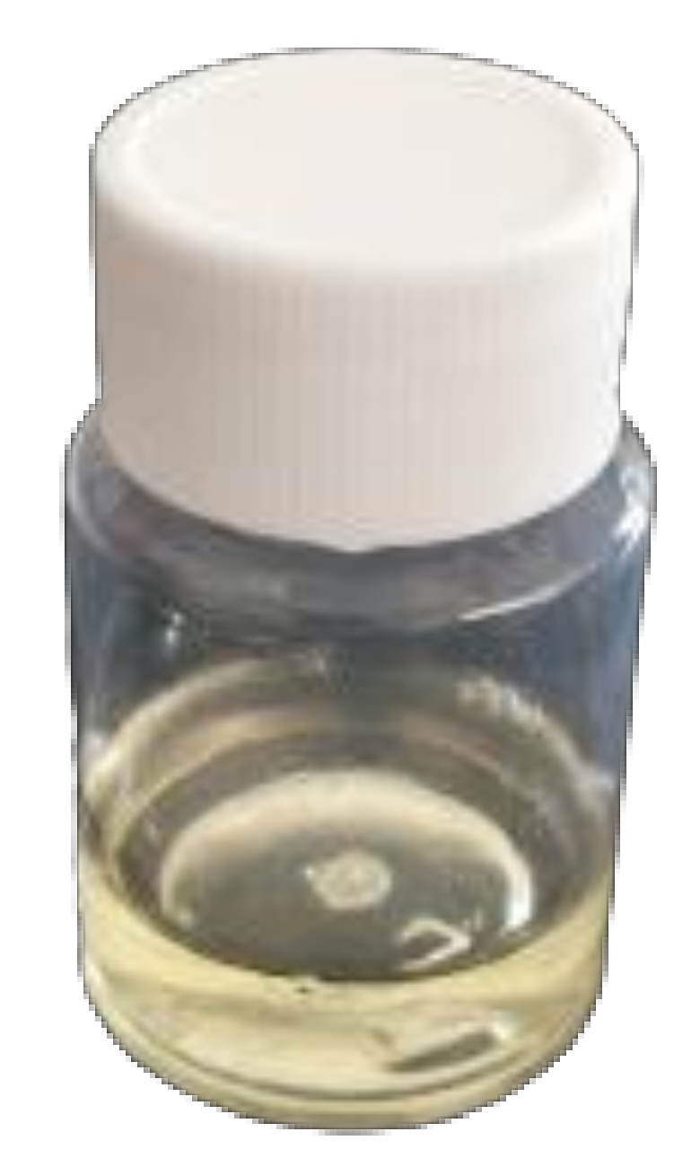 Coatings 12 01036 g004