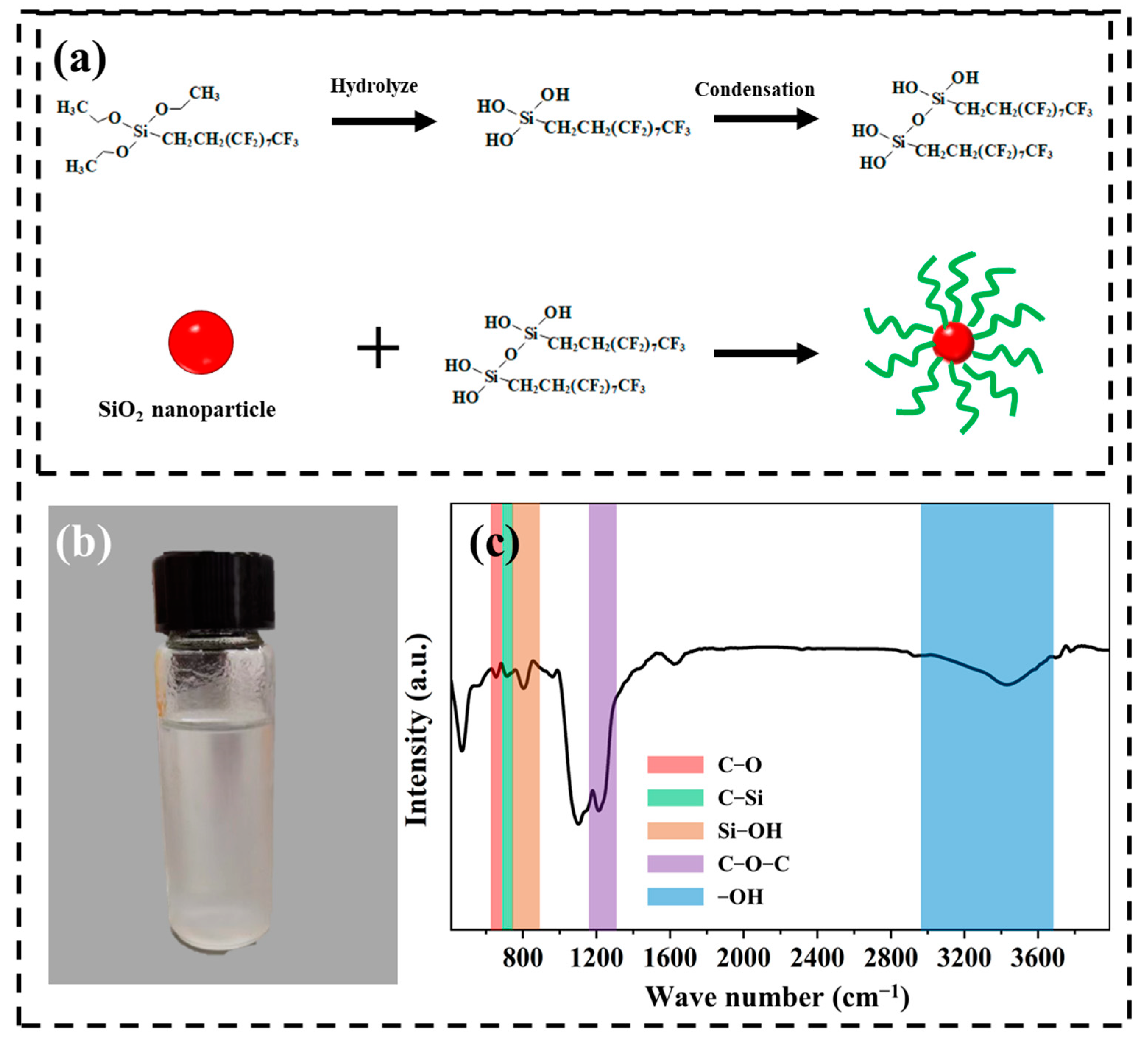 Coatings 12 01037 g003