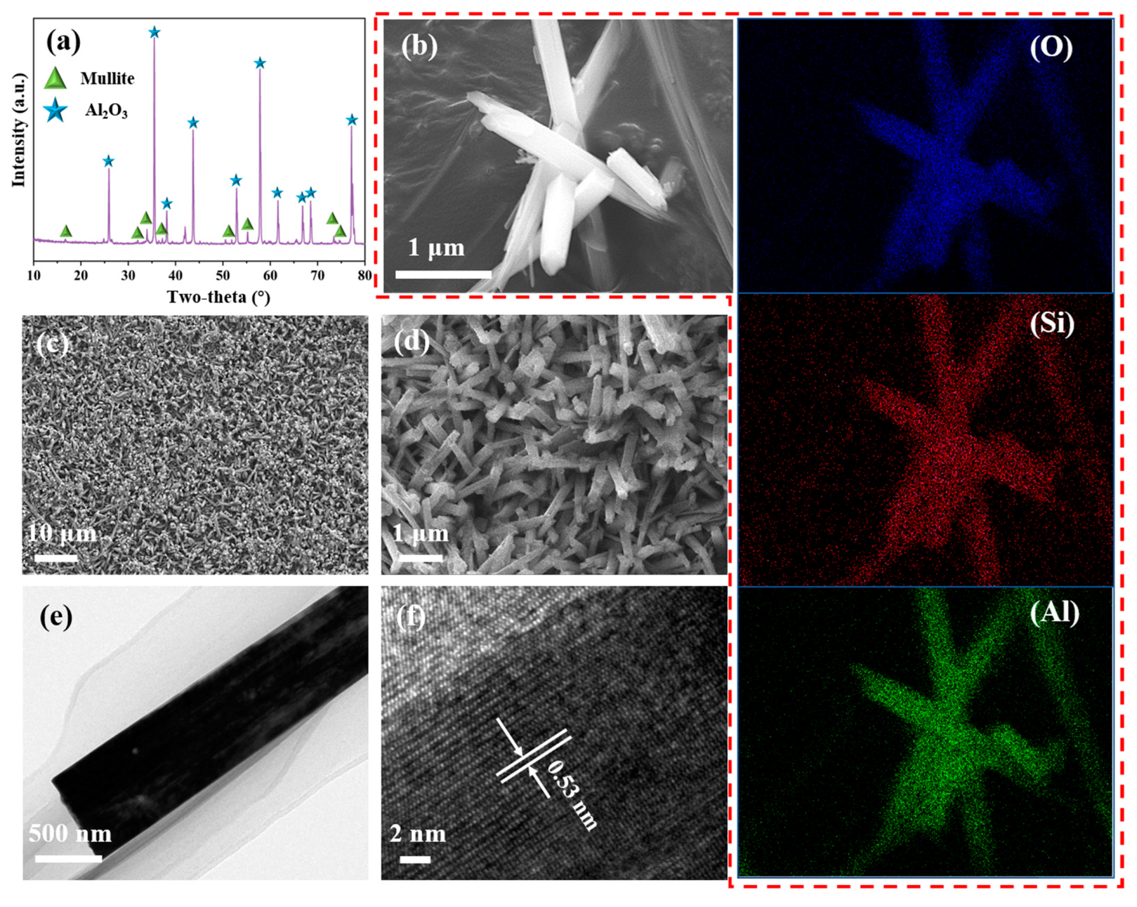 Coatings 12 01037 g004