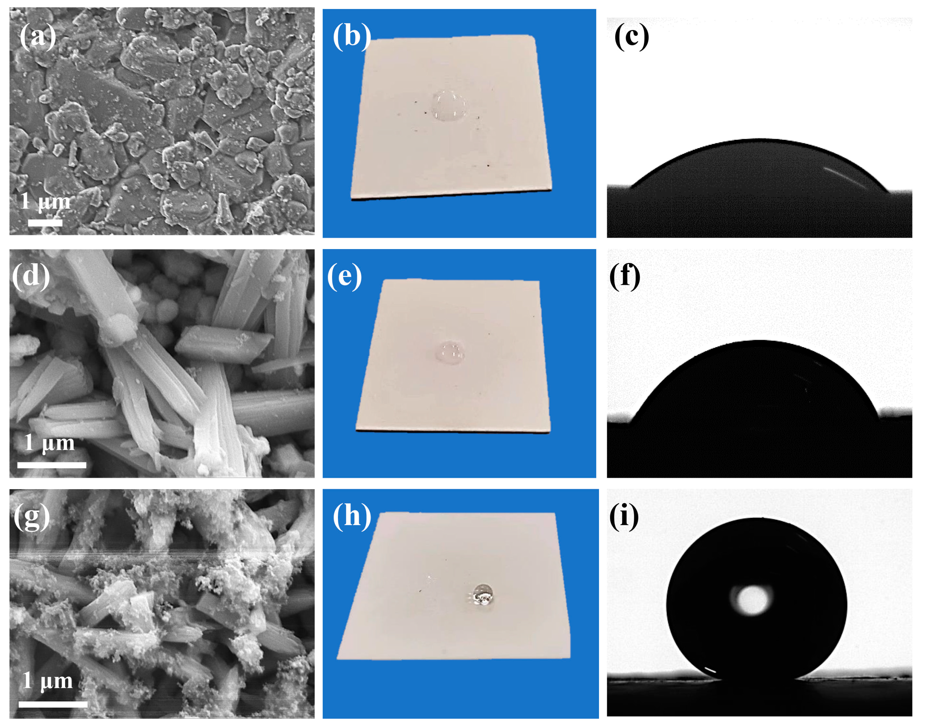 Coatings 12 01037 g005