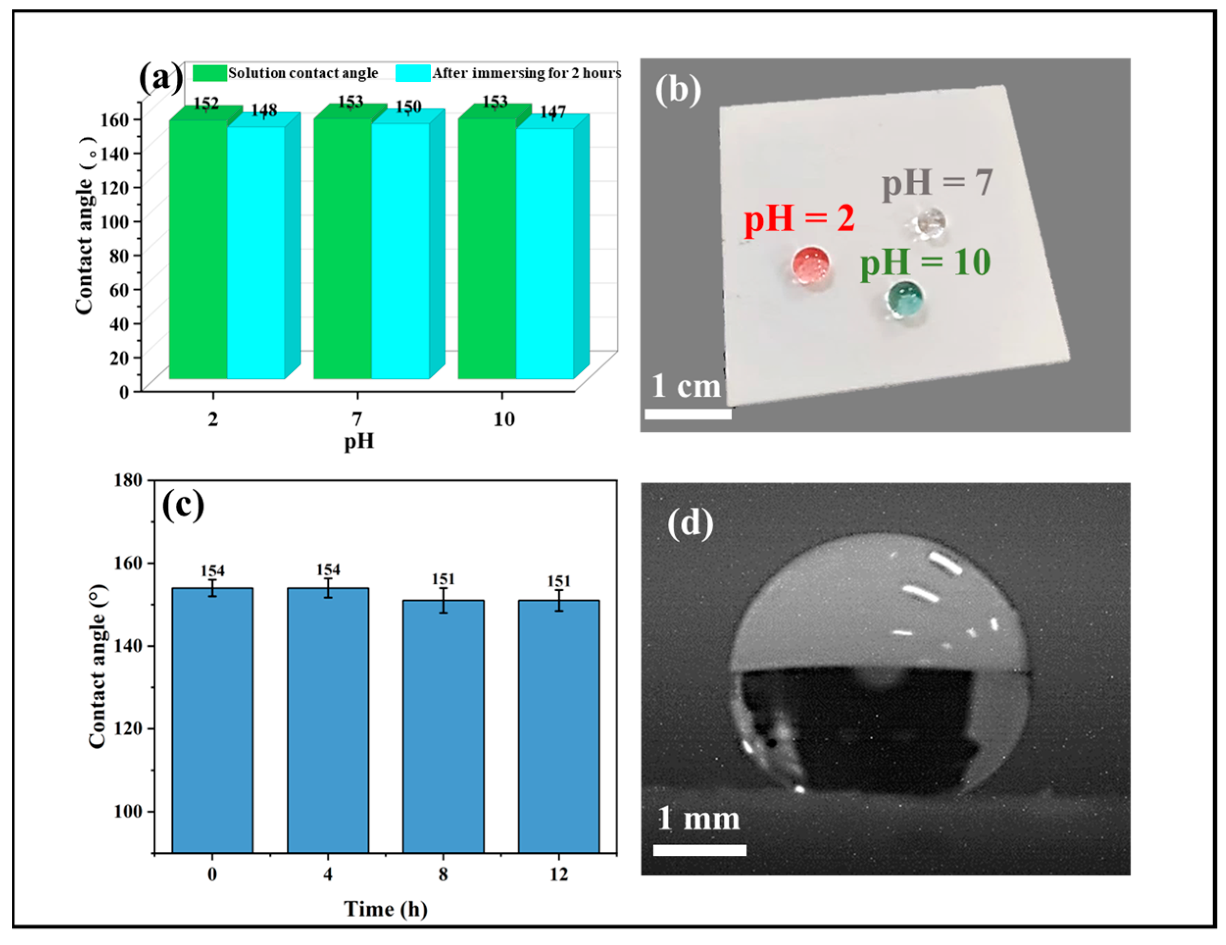 Coatings 12 01037 g008