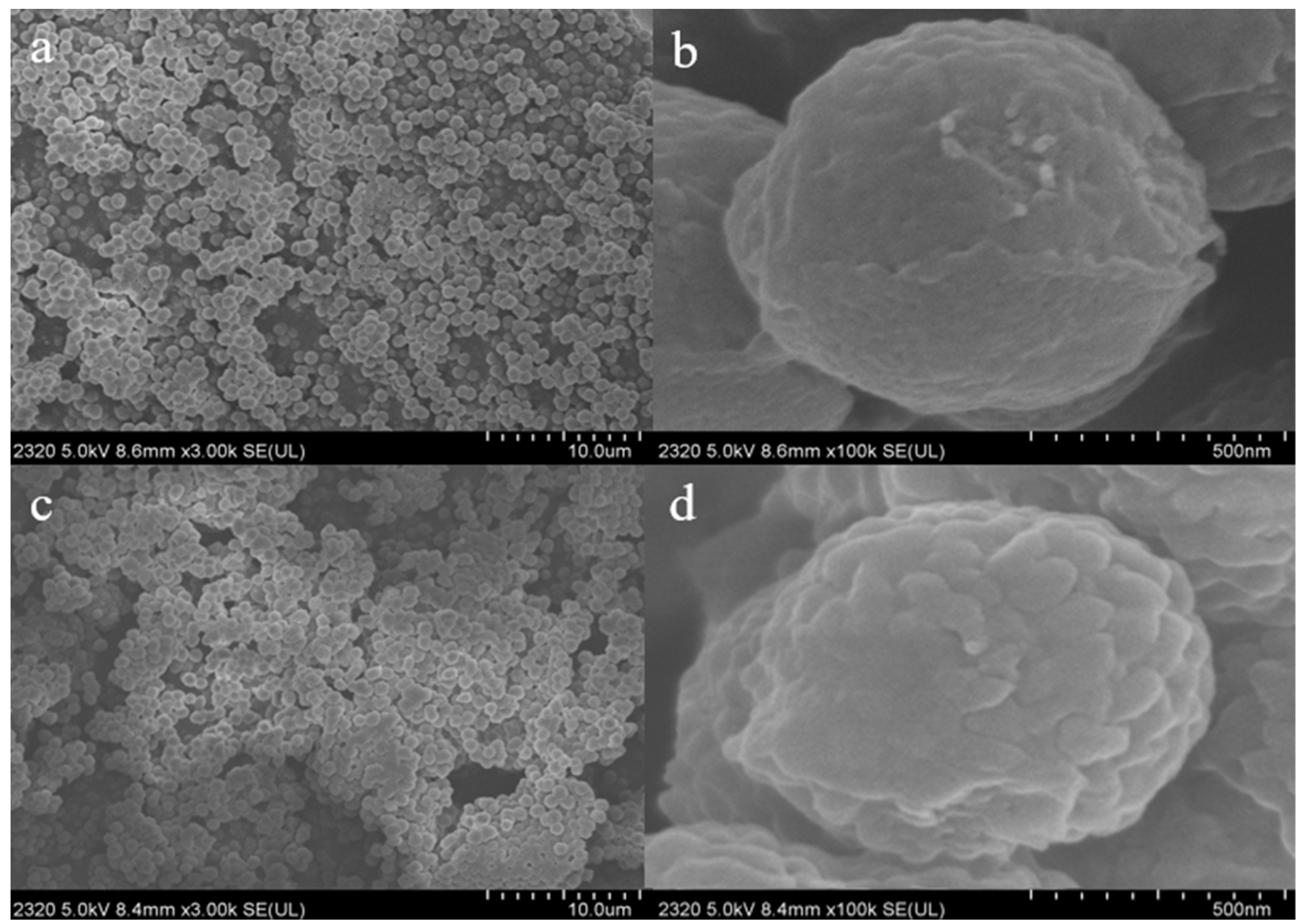 Coatings 12 01038 g002 550