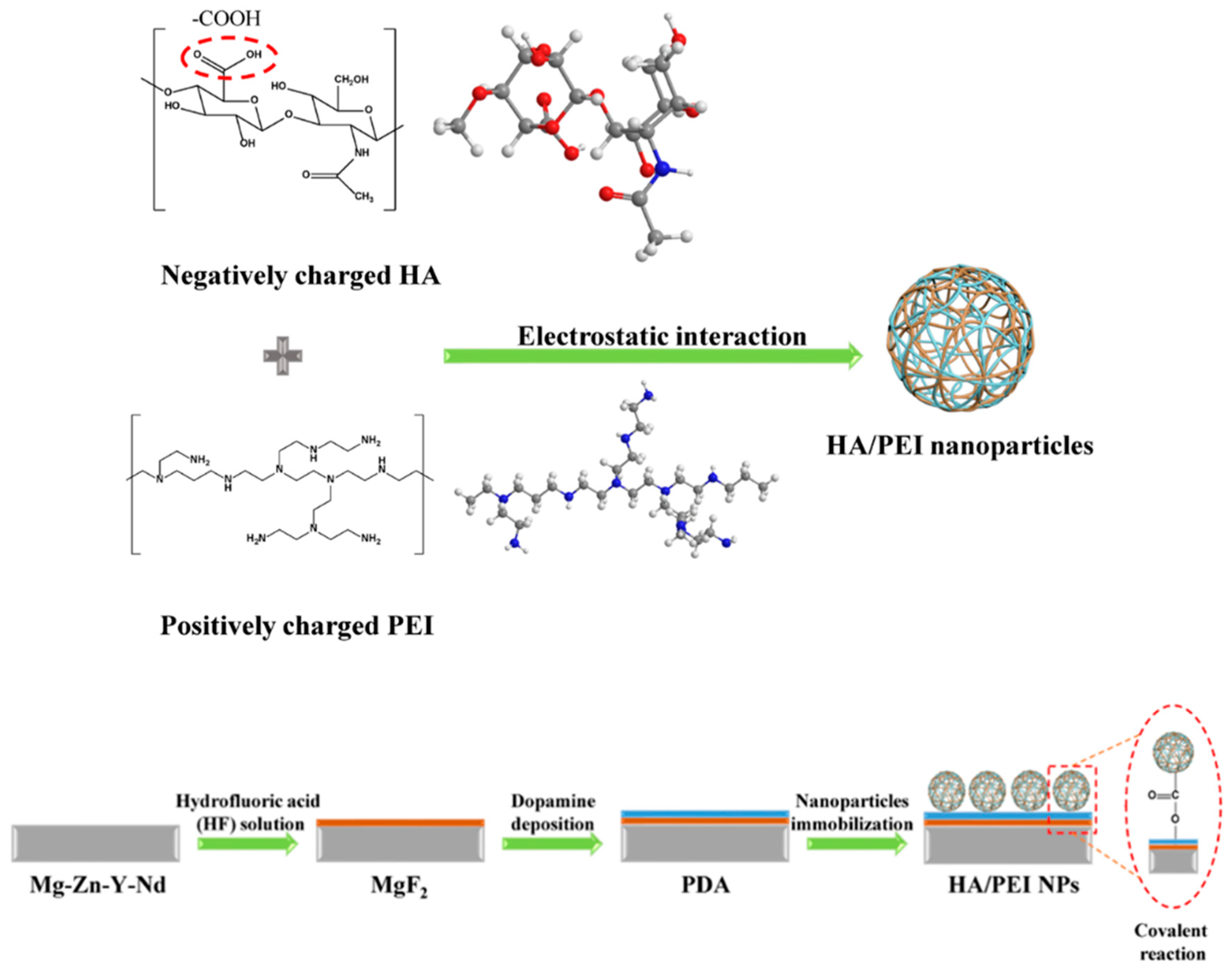 Coatings 12 01039 g006