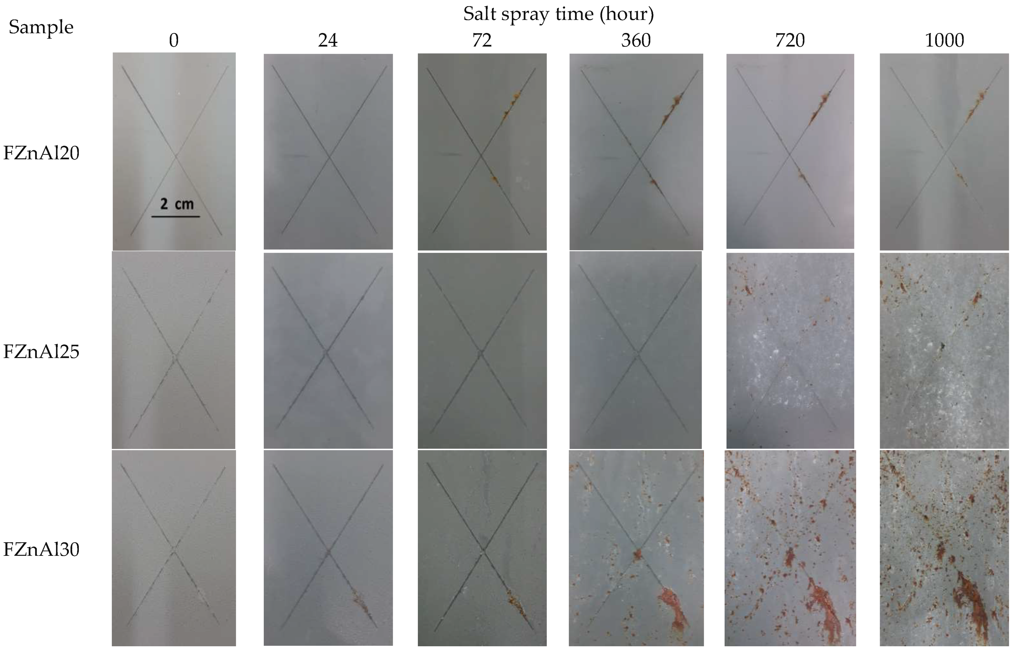 Coatings 12 01046 g005