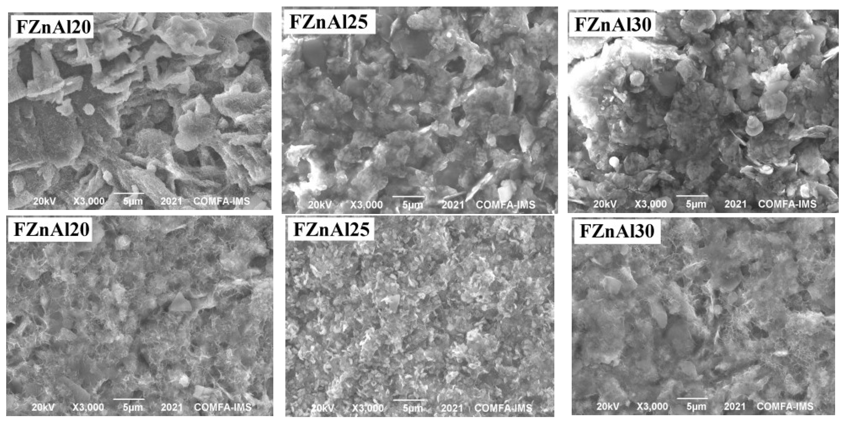 Coatings 12 01046 g006