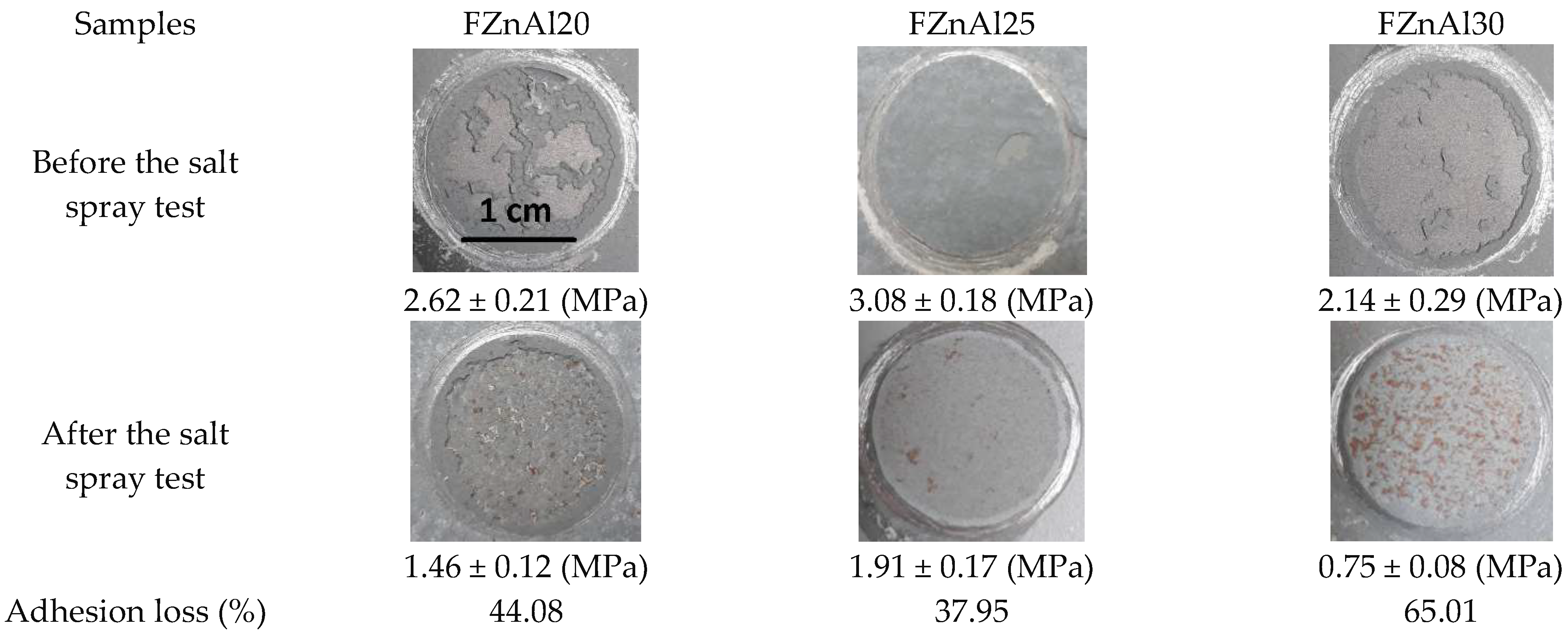 Coatings 12 01046 g007