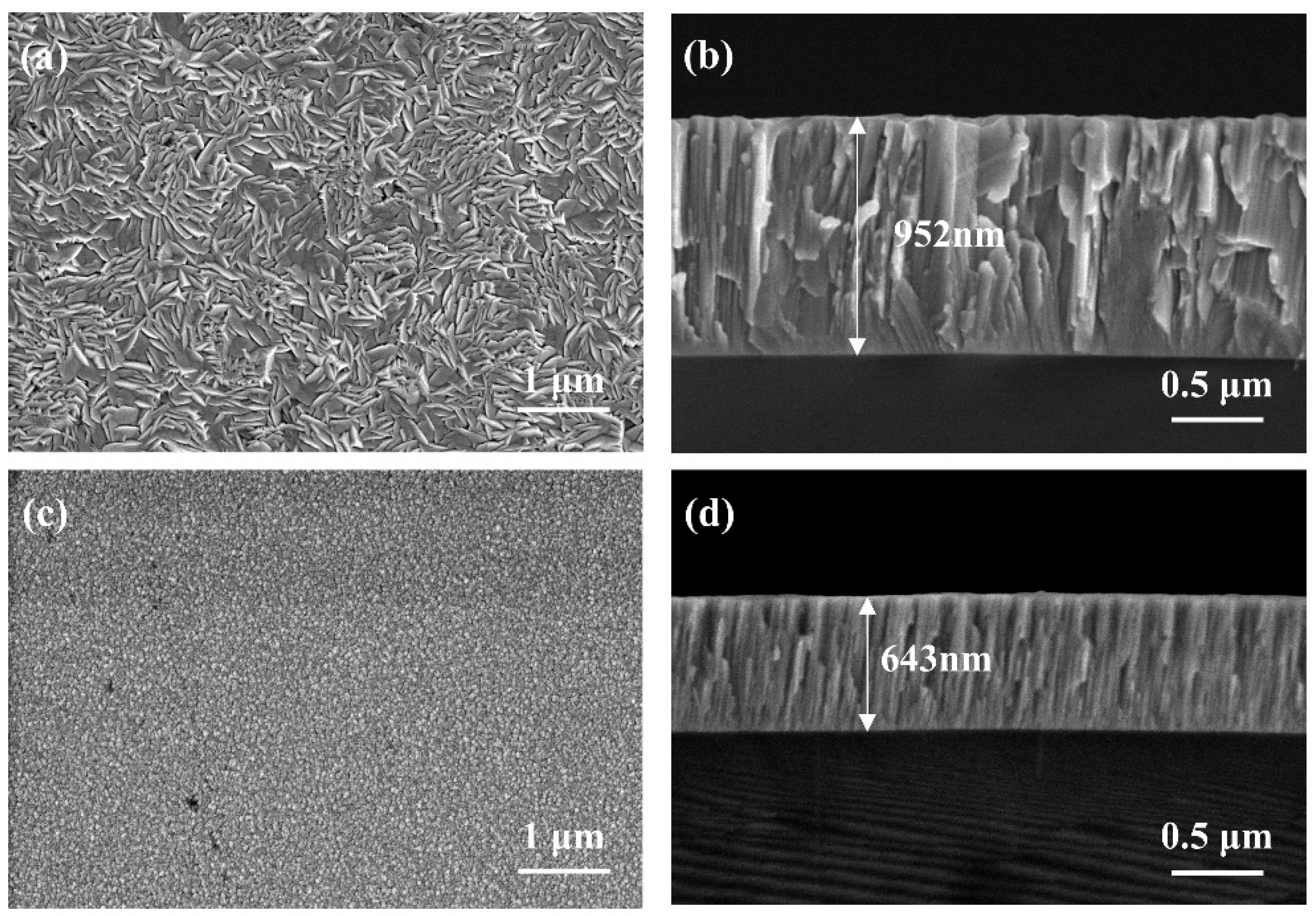 Coatings 12 01048 g003