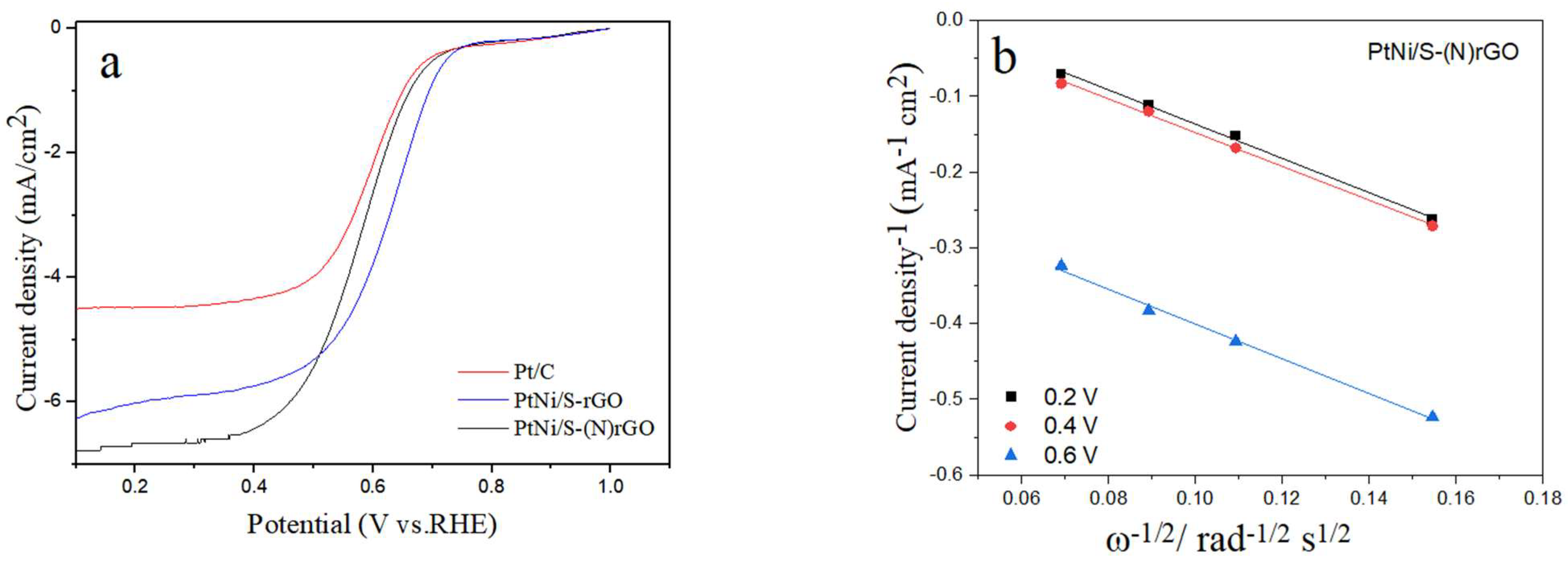 Coatings 12 01049 g006 550
