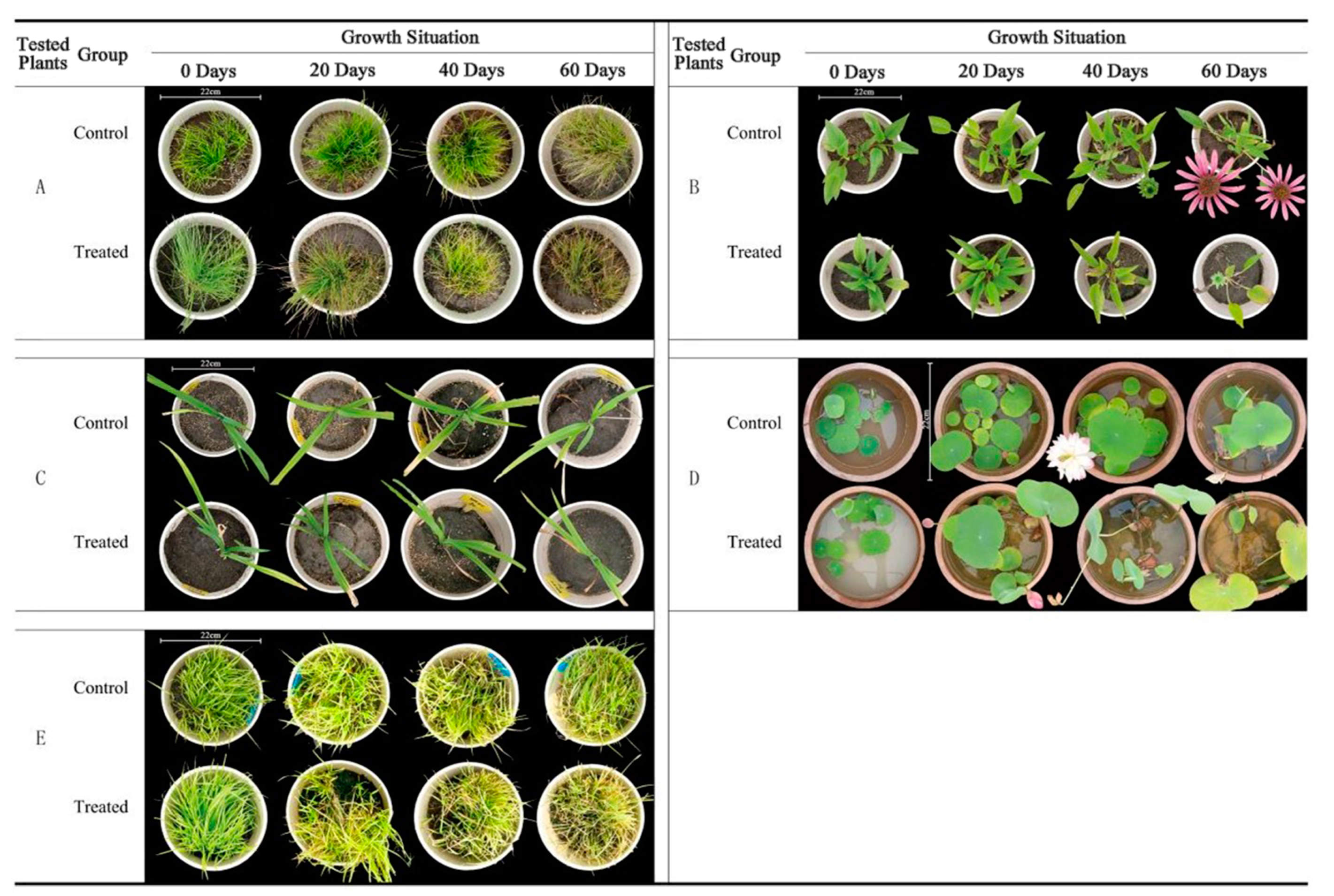Coatings 12 01054 g001 Coatings 12 01054 g001