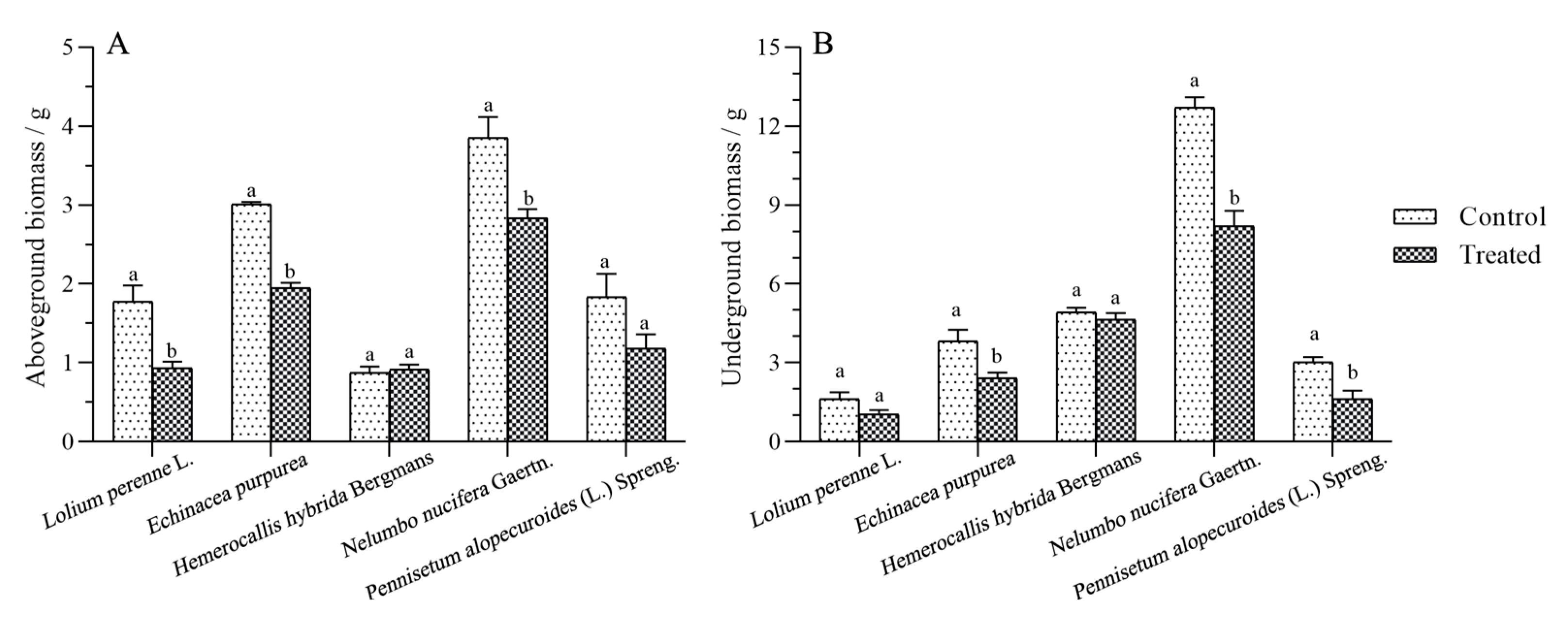 Coatings 12 01054 g003 Coatings 12 01054 g003