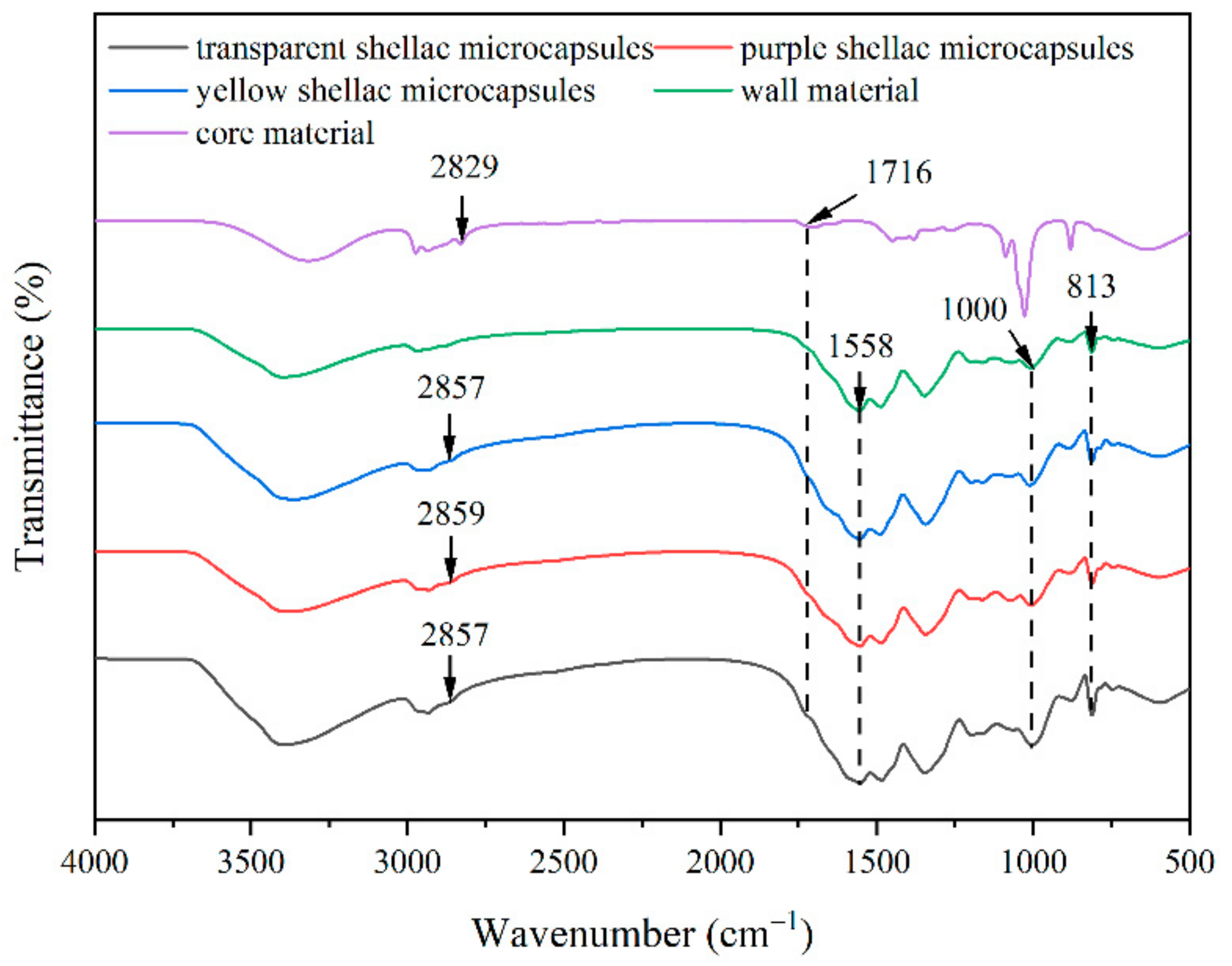 Coatings 12 01056 g004 550