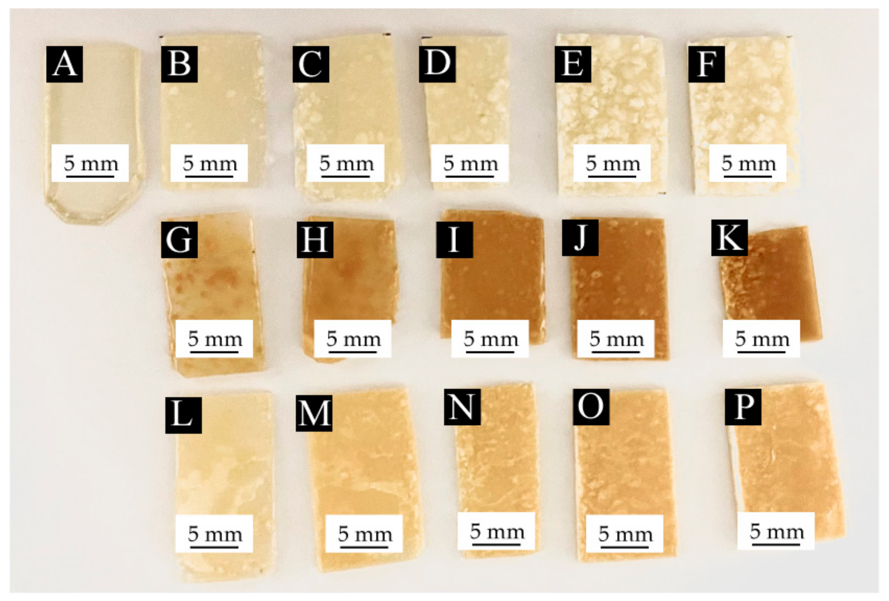 Coatings 12 01056 g005 550