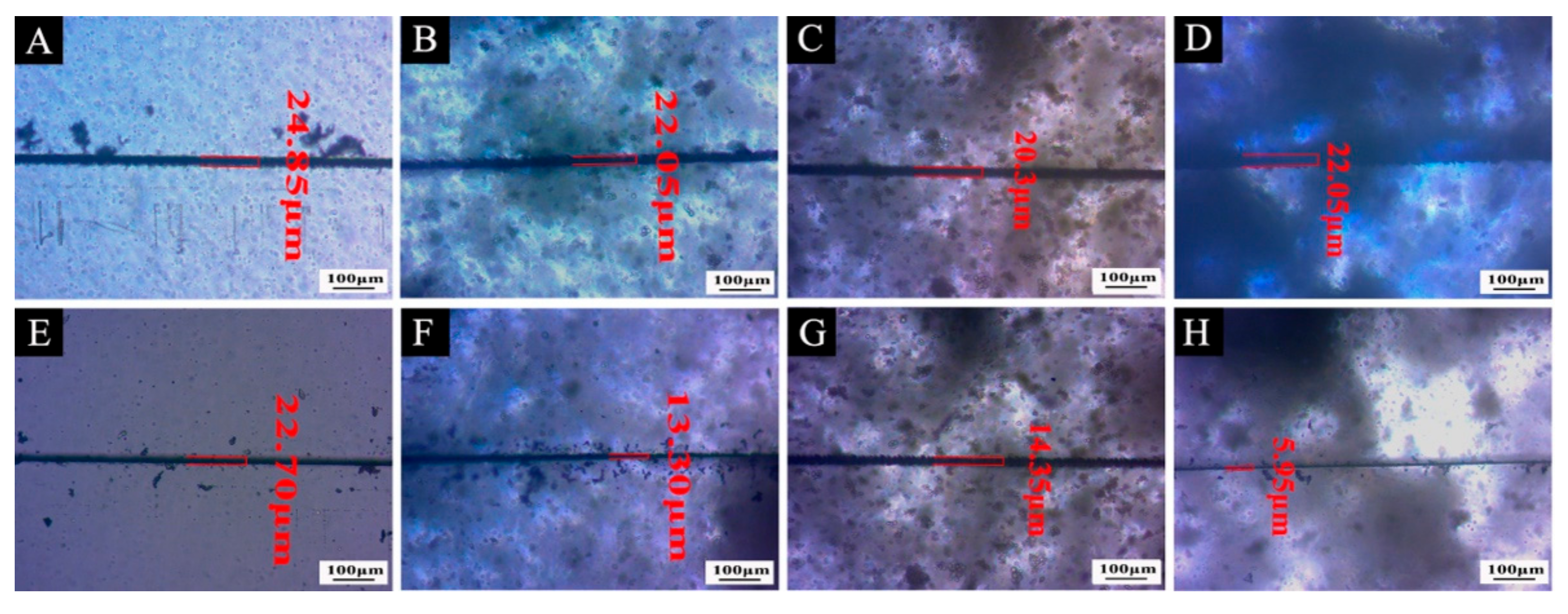 Coatings 12 01056 g010 550