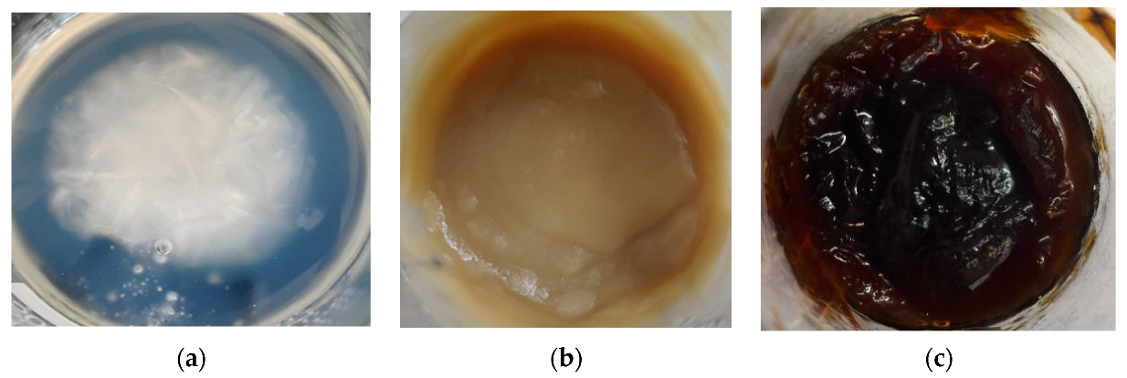 Coatings 12 01061 g001 550