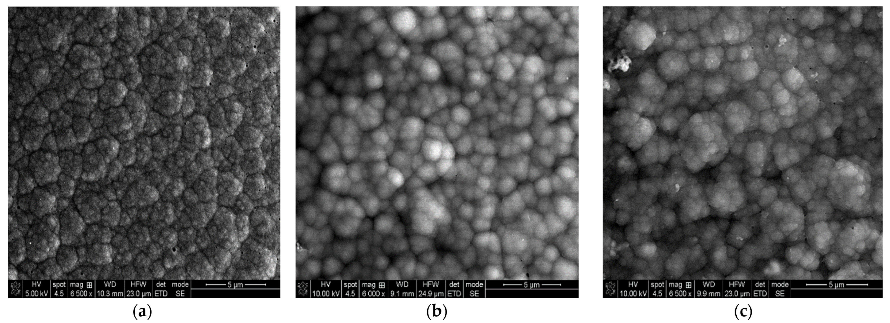 Coatings 12 01062 g011a