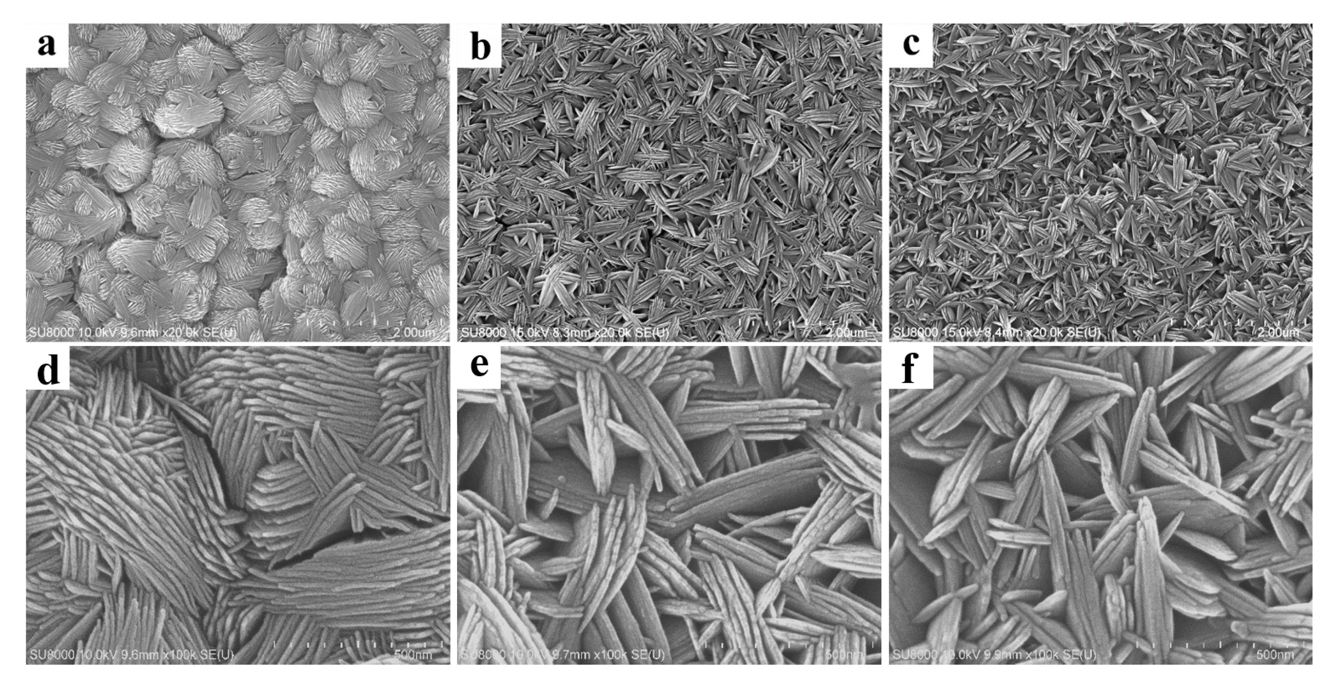 Coatings 12 01063 g001