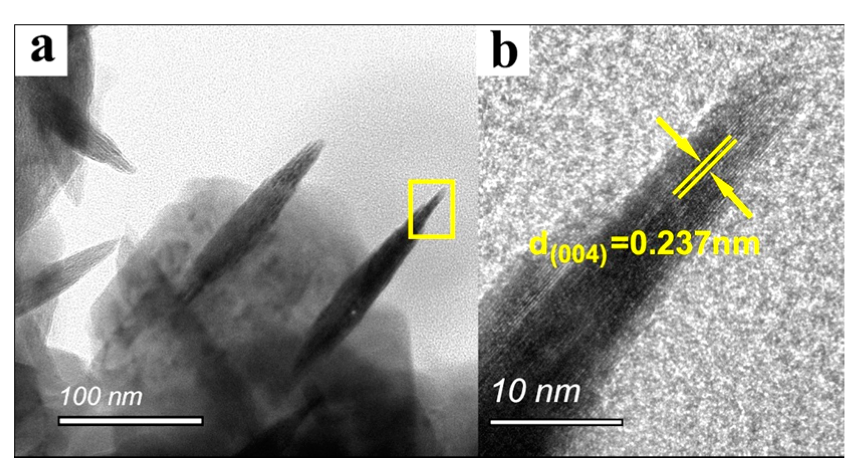 Coatings 12 01063 g003
