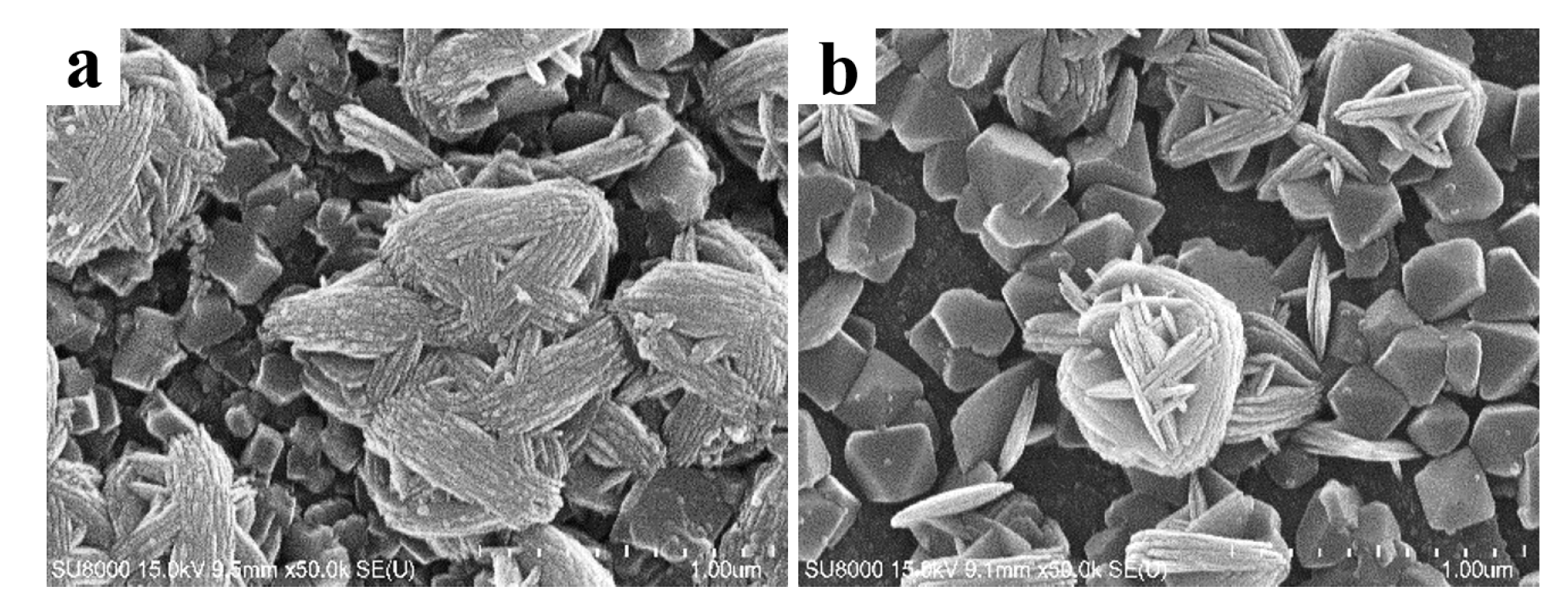 Coatings 12 01063 g005