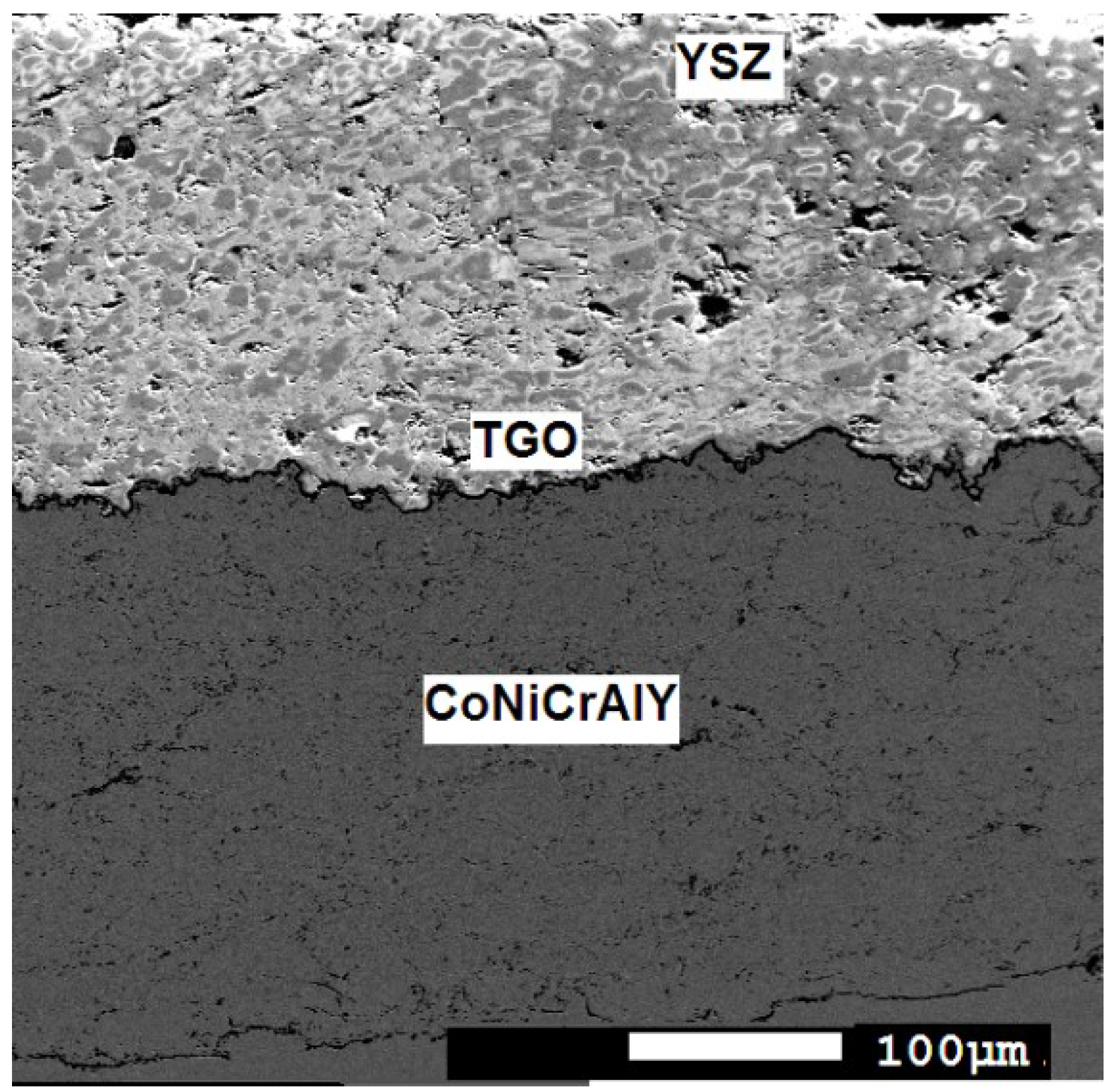 Coatings 12 01068 g001